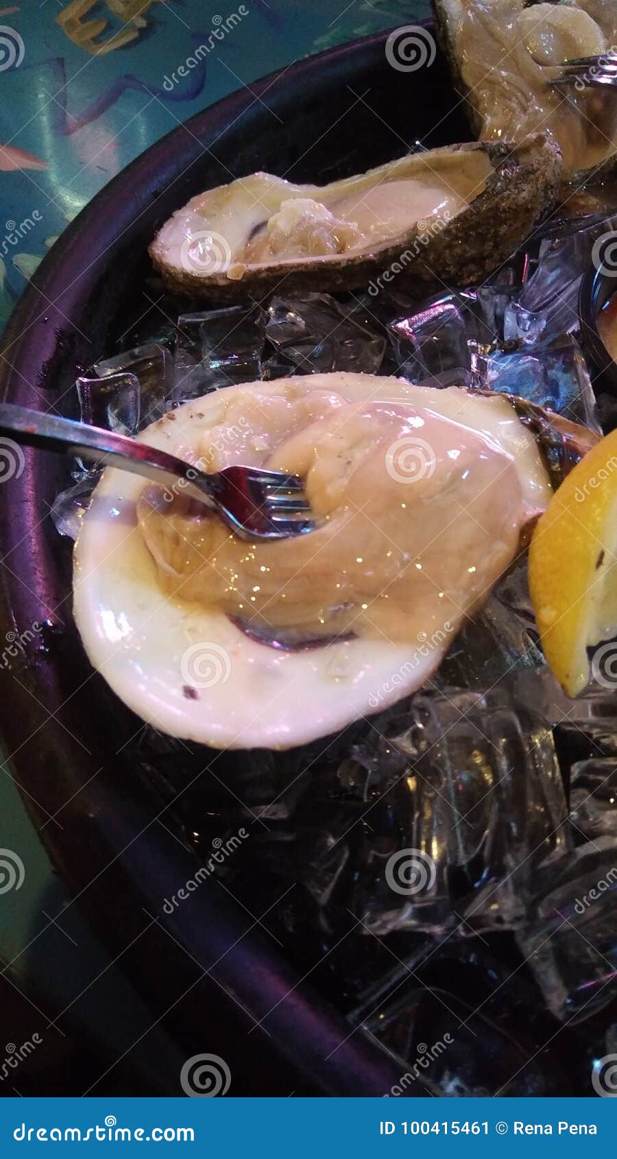 oysters in nola