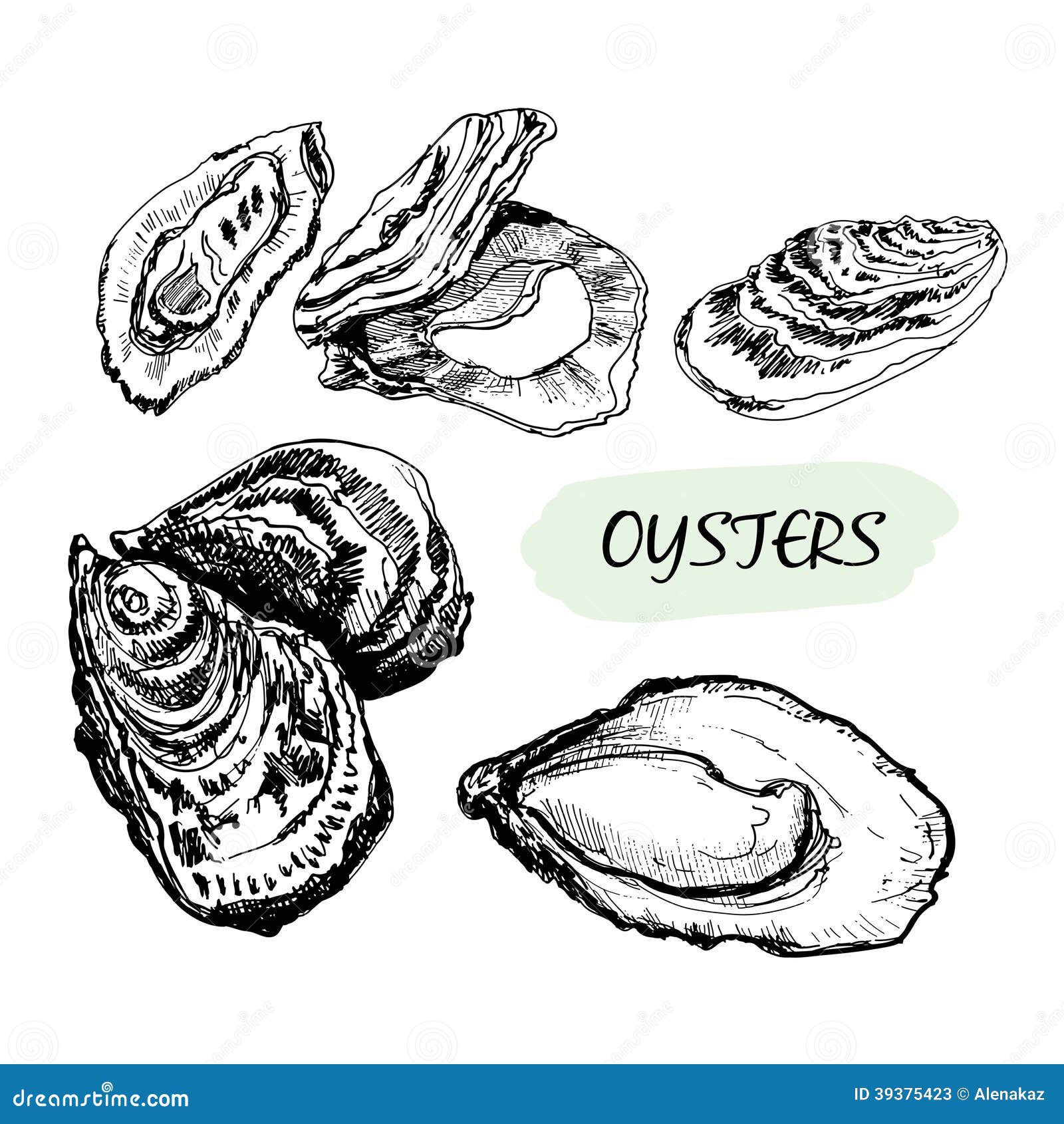 Oysters stock vector. Illustration of mollusk, cooking - 39375423