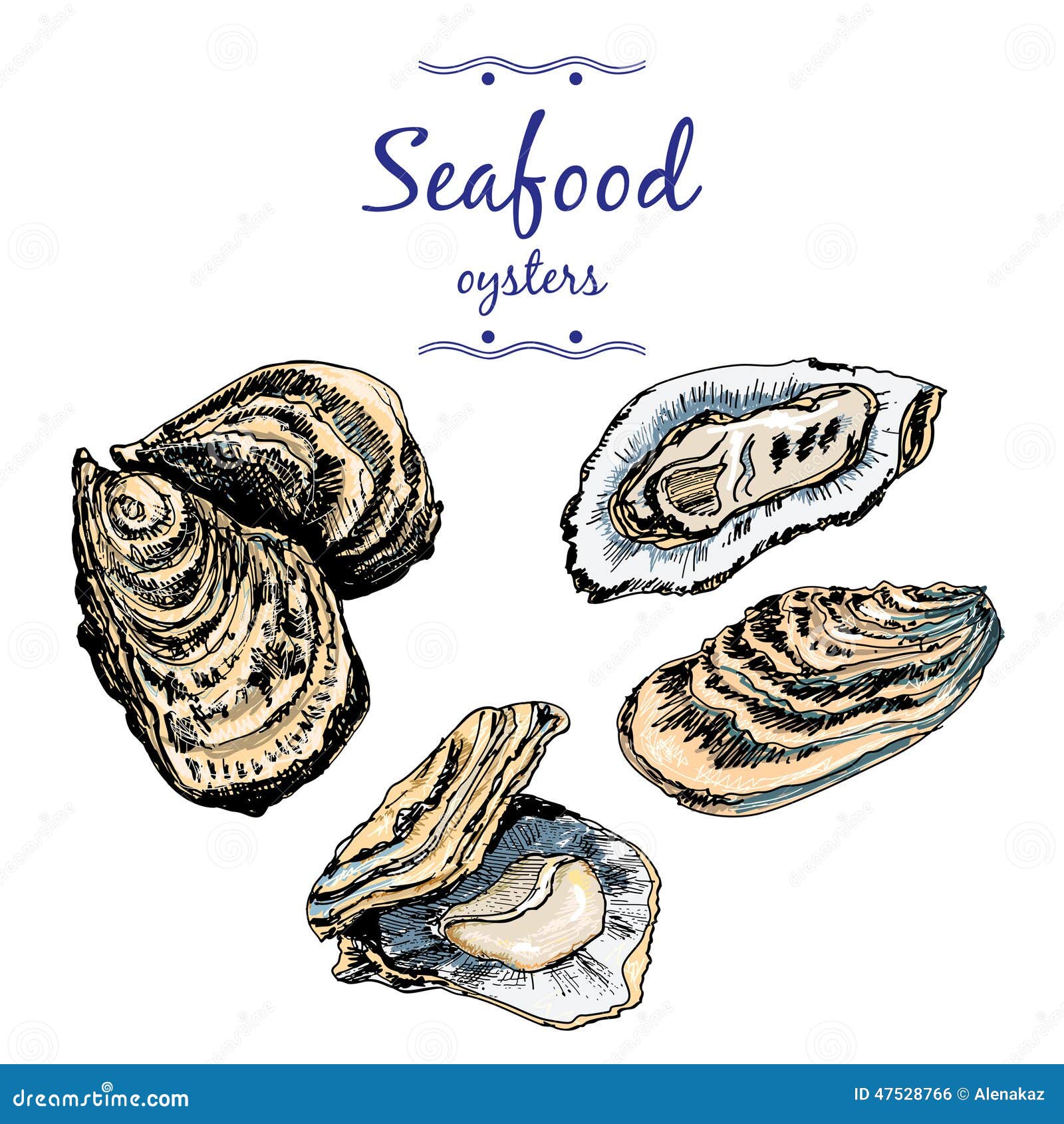 Oysters. stock vector. Illustration of oyster, gourmet - 47528766