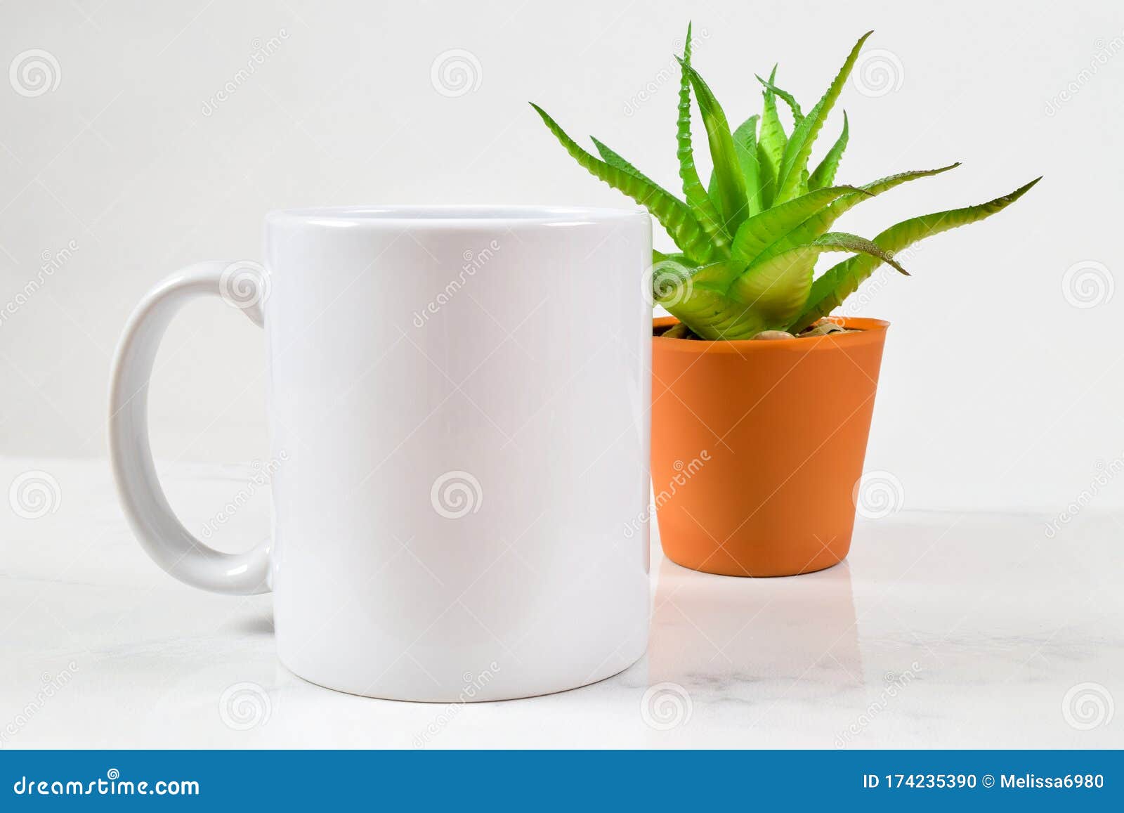 Download 11 Oz. Coffee Mug Mockup With Aloe Vera Plant Stock Photo - Image of desktop, espresso: 174235390