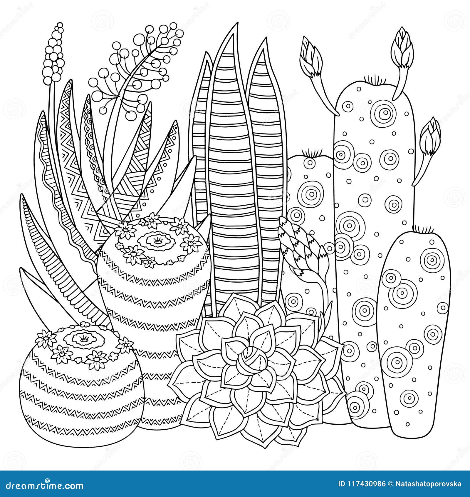 Cactus Coloring Page - Cactos Desenho Para Colorir Png - Free