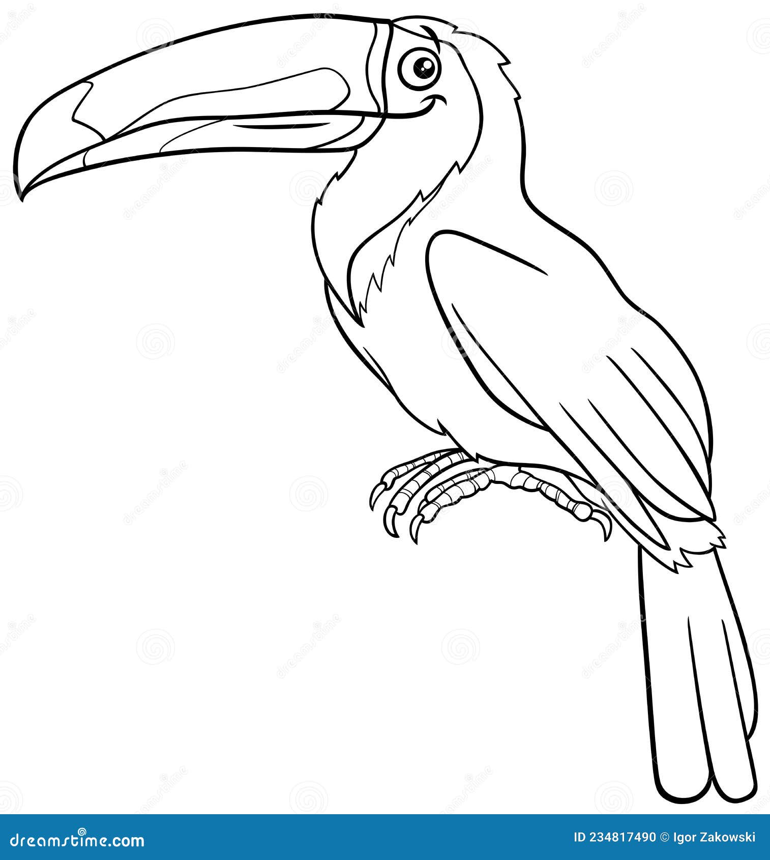 livro de colorir, aves para colorir, desenhando aves, desenhar