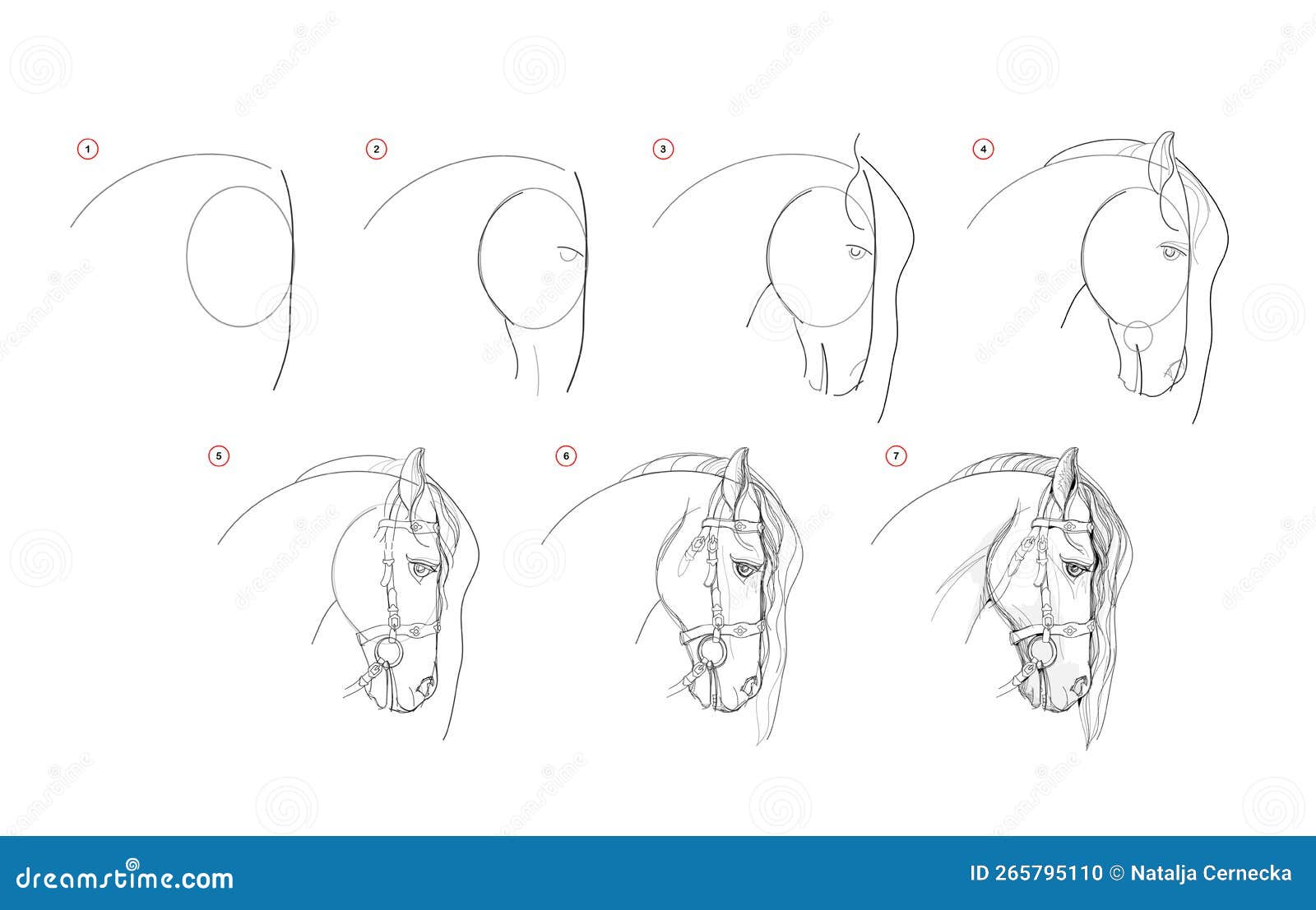 Como Desenhar Da Natureza O Desenho De Cavalo Em Pé Criação Passo a Passo  De Desenho De Lápis Página Educativa Para Artistas Ilustração do Vetor -  Ilustração de cavalo, preto: 166402861