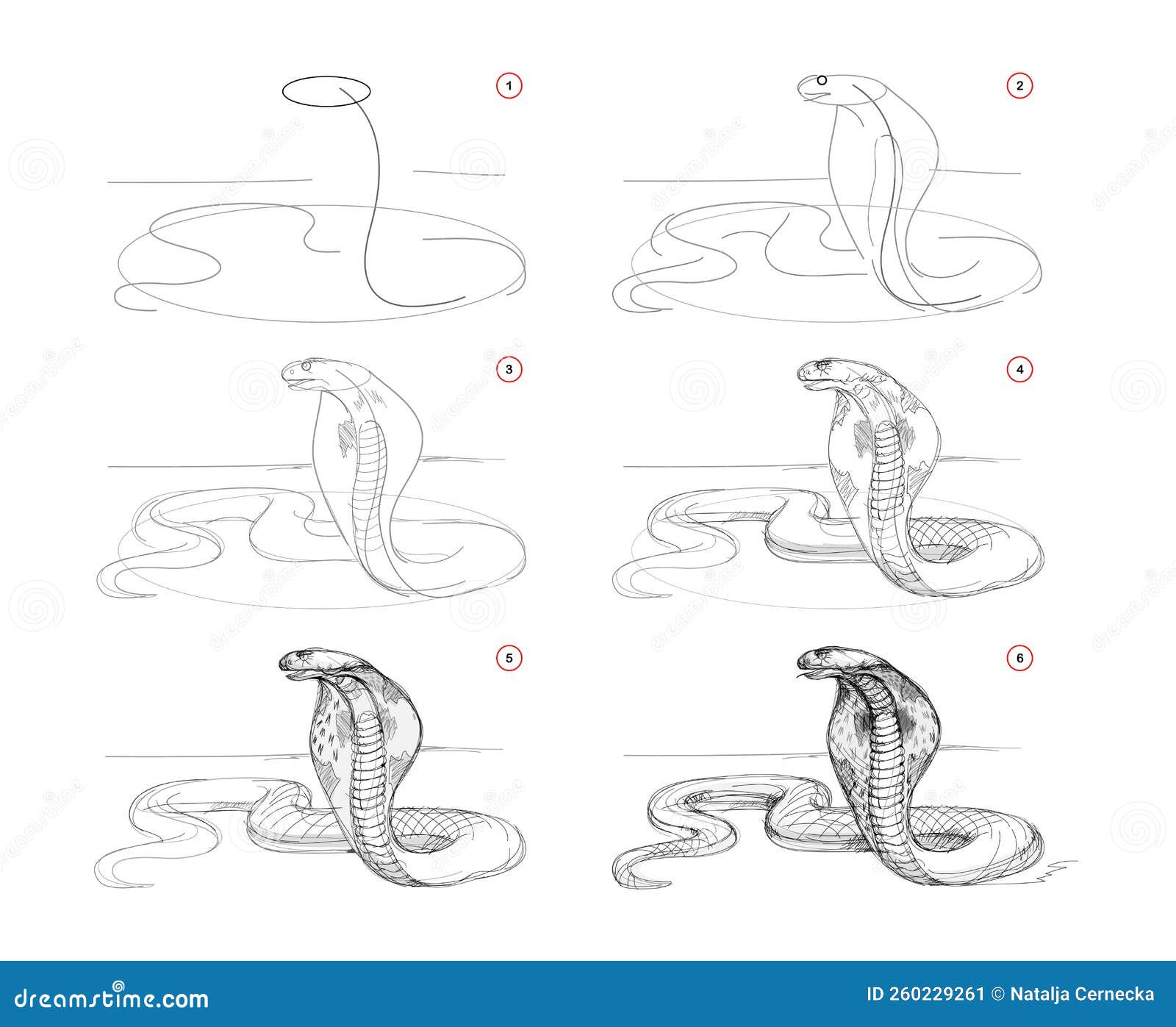 Desenhos de Cobra - Como desenhar Cobra passo a passo