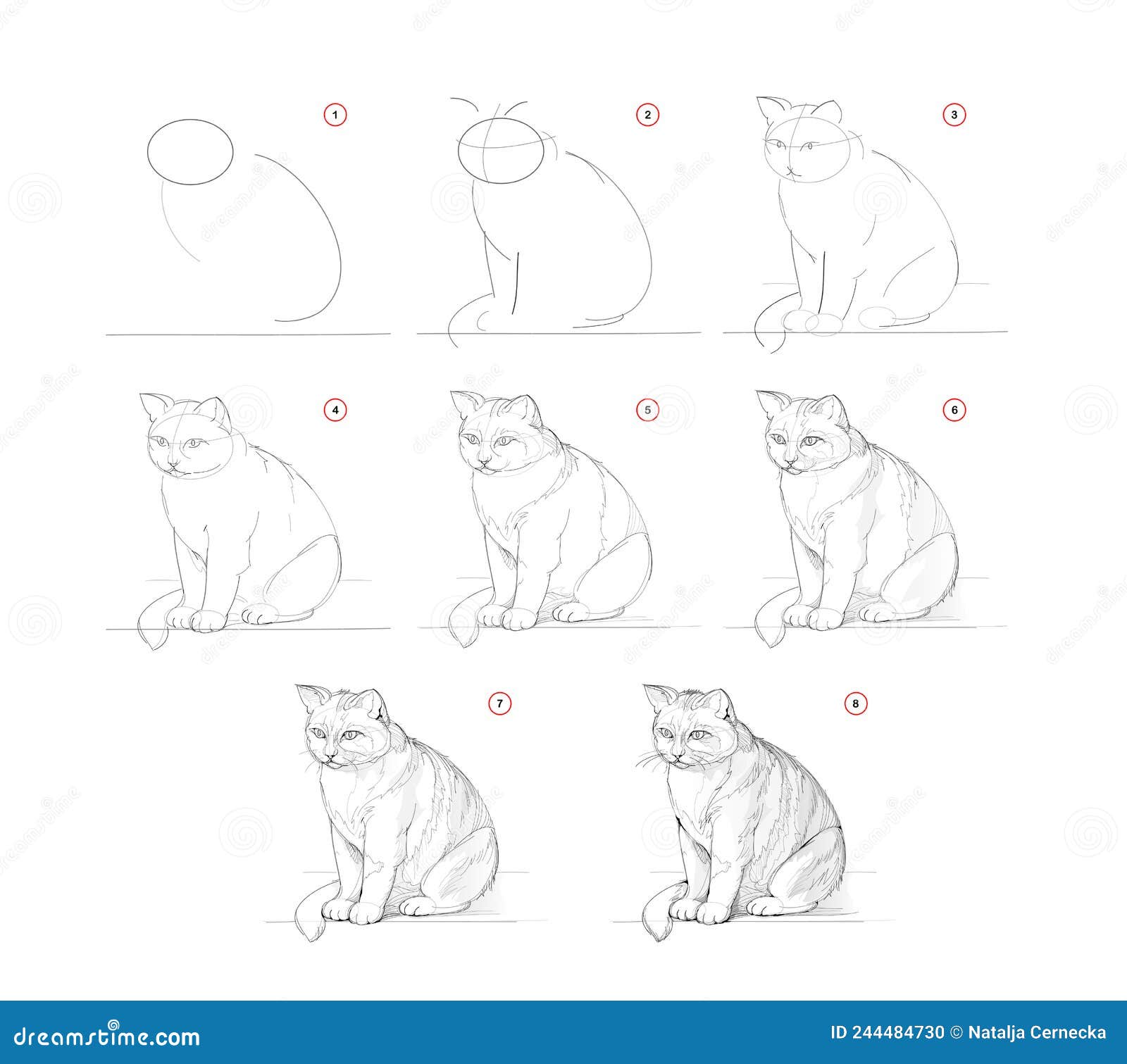 Como desenhar um gato  Tutorial de desenho passo a passo