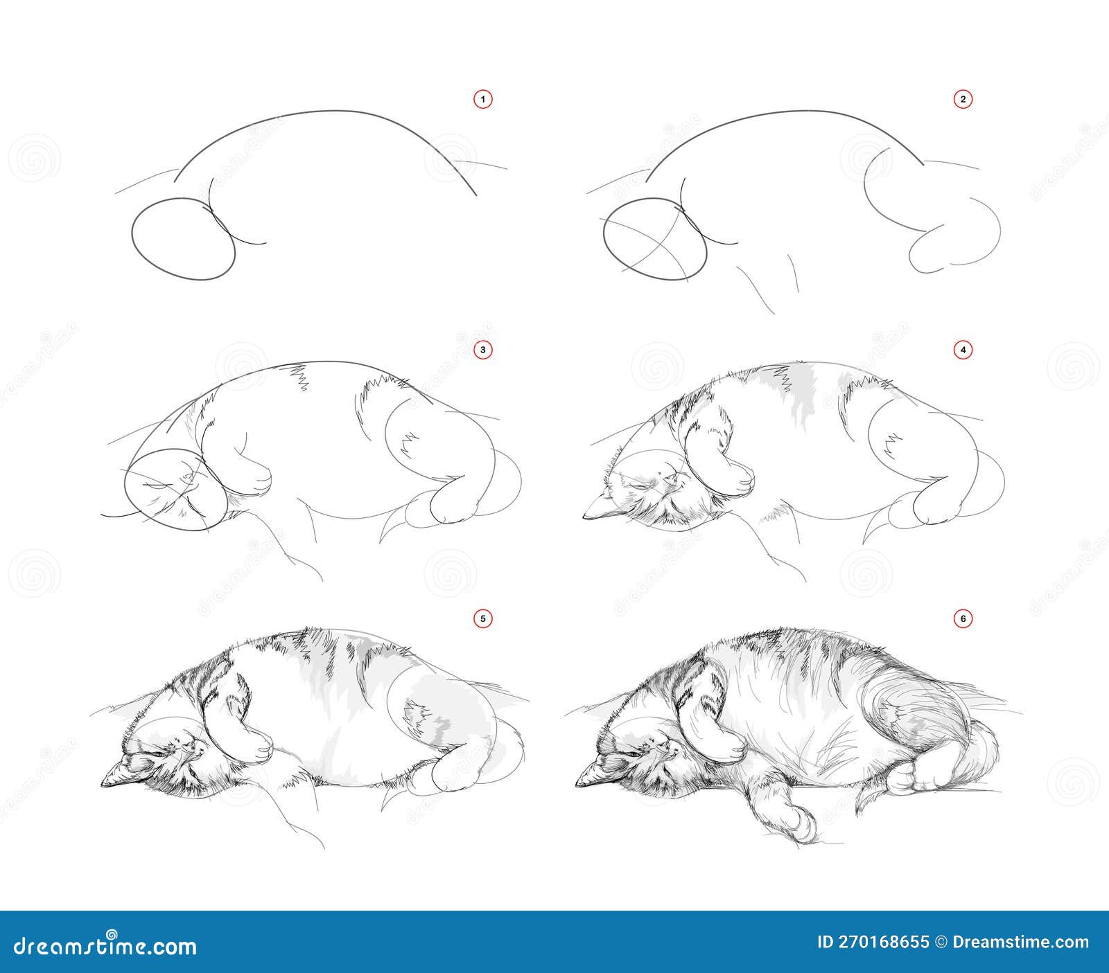 Página Mostra Como Aprender a Desenhar Um Gato Adormecido Fofo. Lições De  Desenho De Lápis. Página Educativa Para Artistas. Livro Ilustração do Vetor  - Ilustração de pastel, jogo: 270168655
