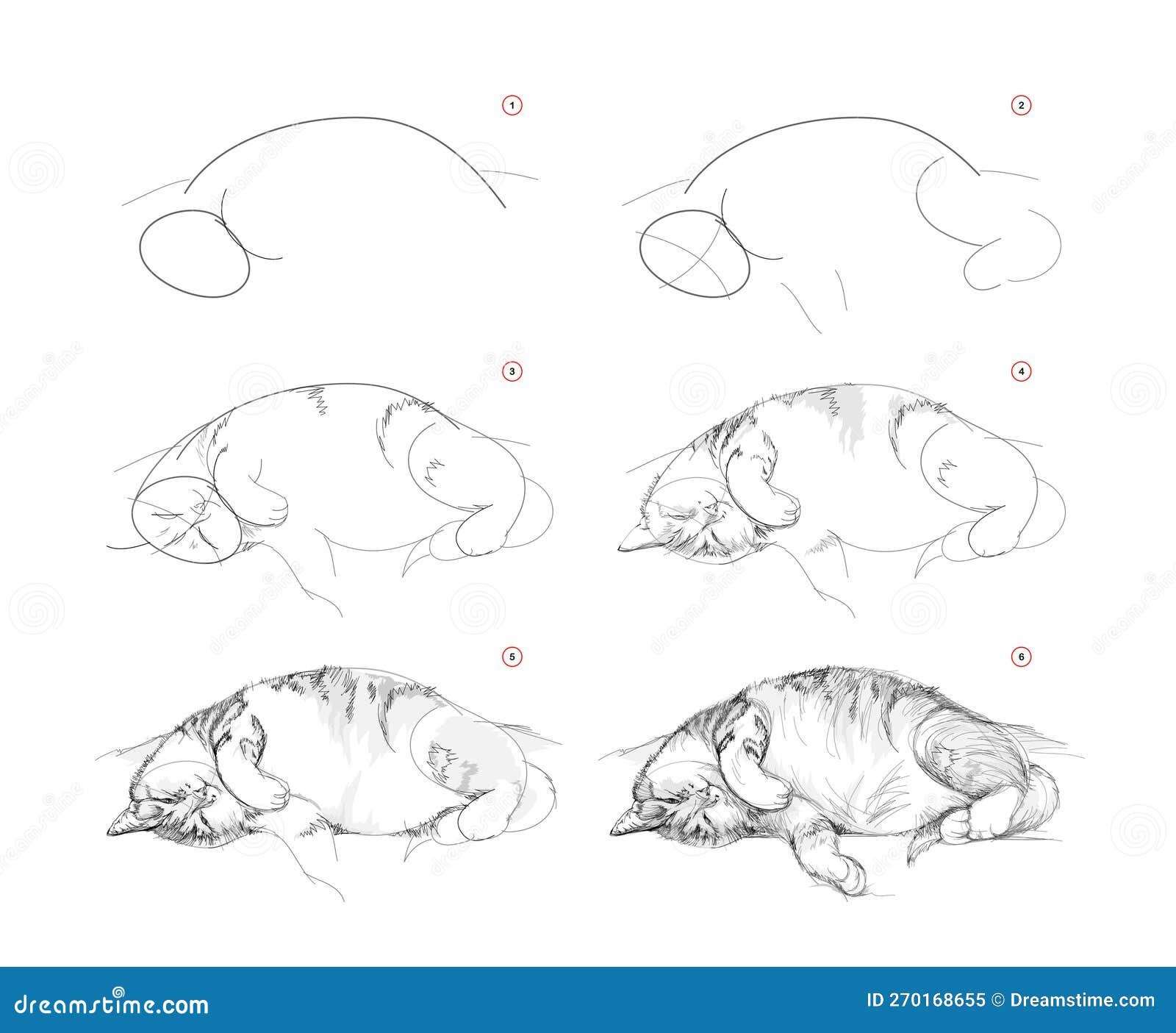 Qualquer pessoa pode desenhar gatos: Tutorial de desenho passo-a-passo fácil  para crianças, adolescentes e iniciantes. Como aprender a desenhar gatos.  Livro 1 (Guia do aspirante a artista) eBook : Smith, Julia: 