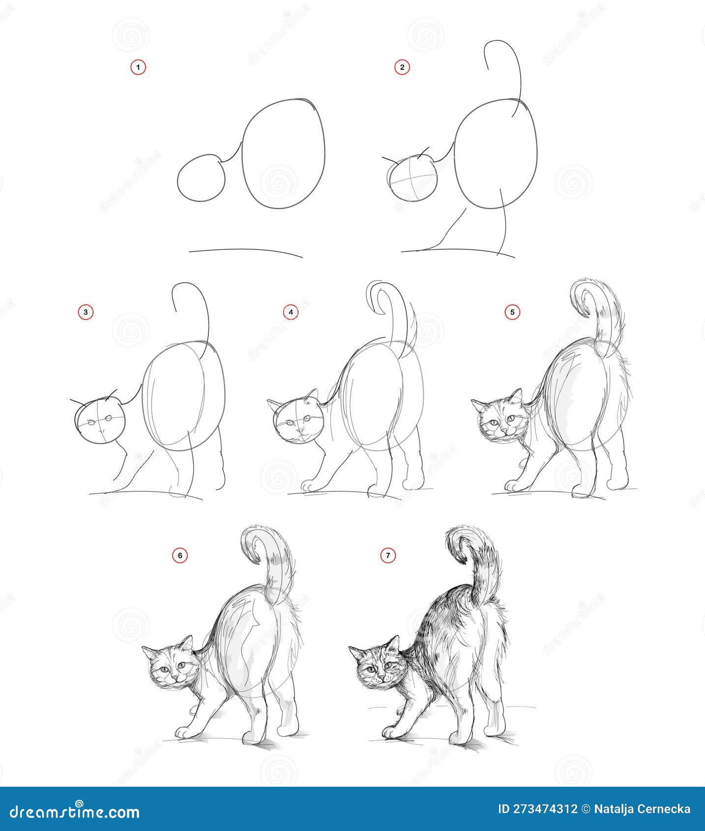 Qualquer pessoa pode desenhar gatos: Tutorial de desenho passo-a-passo fácil  para crianças, adolescentes e iniciantes. Como aprender a desenhar gatos.  Livro 1 (Guia do aspirante a artista) eBook : Smith, Julia: 