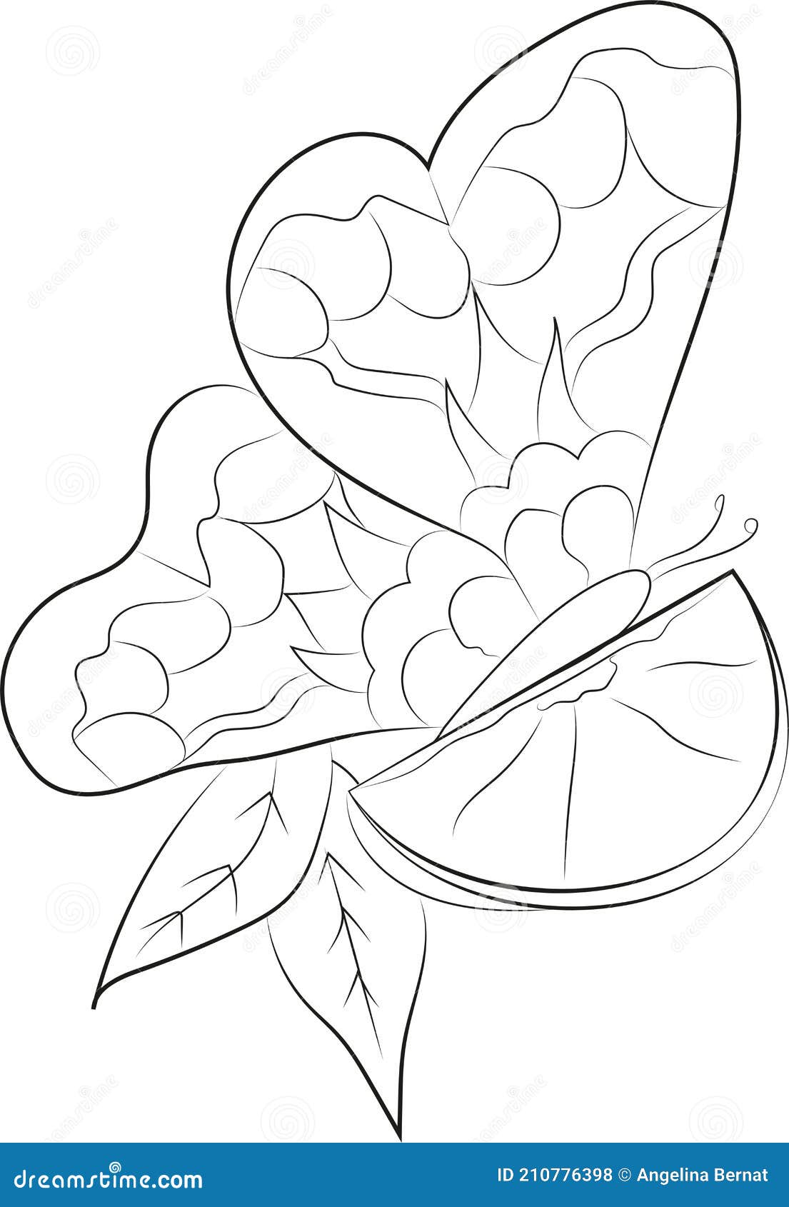 Página Para Colorear Con Mariposa Y Naranja Stock de ilustración -  Ilustración de blanco, negro: 210776398