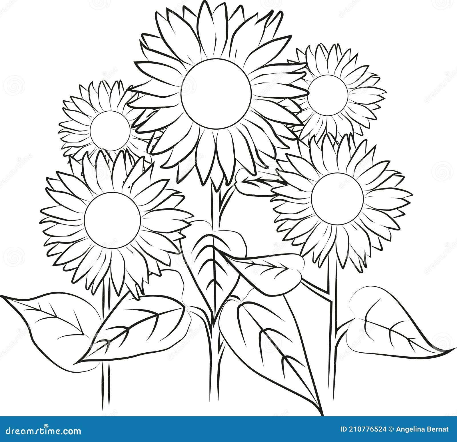 Página Para Colorear Con Un Girasoles Stock de ilustración - Ilustración de  flores, color: 210776524