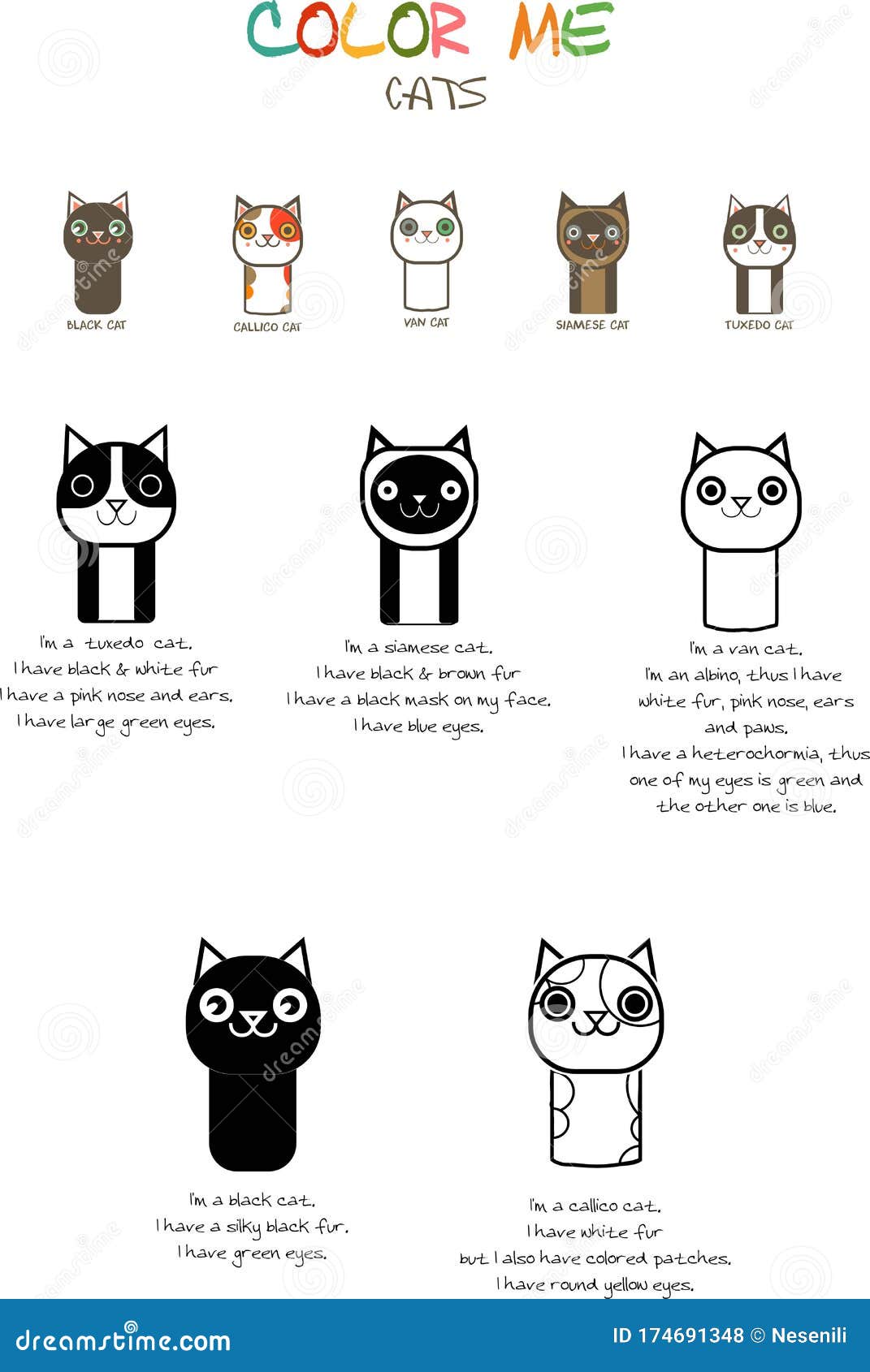 Página Para Colorear De Especies De Gatos Para Niños Stock de ilustración - Ilustración de blanco, especie: 174691348 Página Para Colorear De Especies De Gatos Para Niños Stock de ilustración - Ilustración de blanco, especie: 174691348