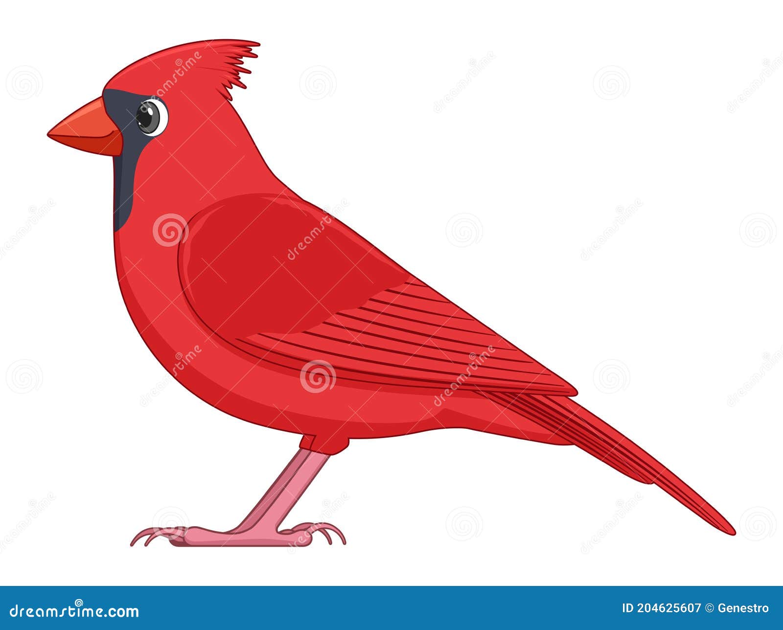 Pájaro Cardenal Rojo Sobre Fondo Blanco Ilustración del Vector - Ilustración de sonriente, brillante: 204625607 Pájaro Cardenal Rojo Sobre Fondo Blanco Ilustración del Vector - Ilustración de sonriente, brillante: 204625607