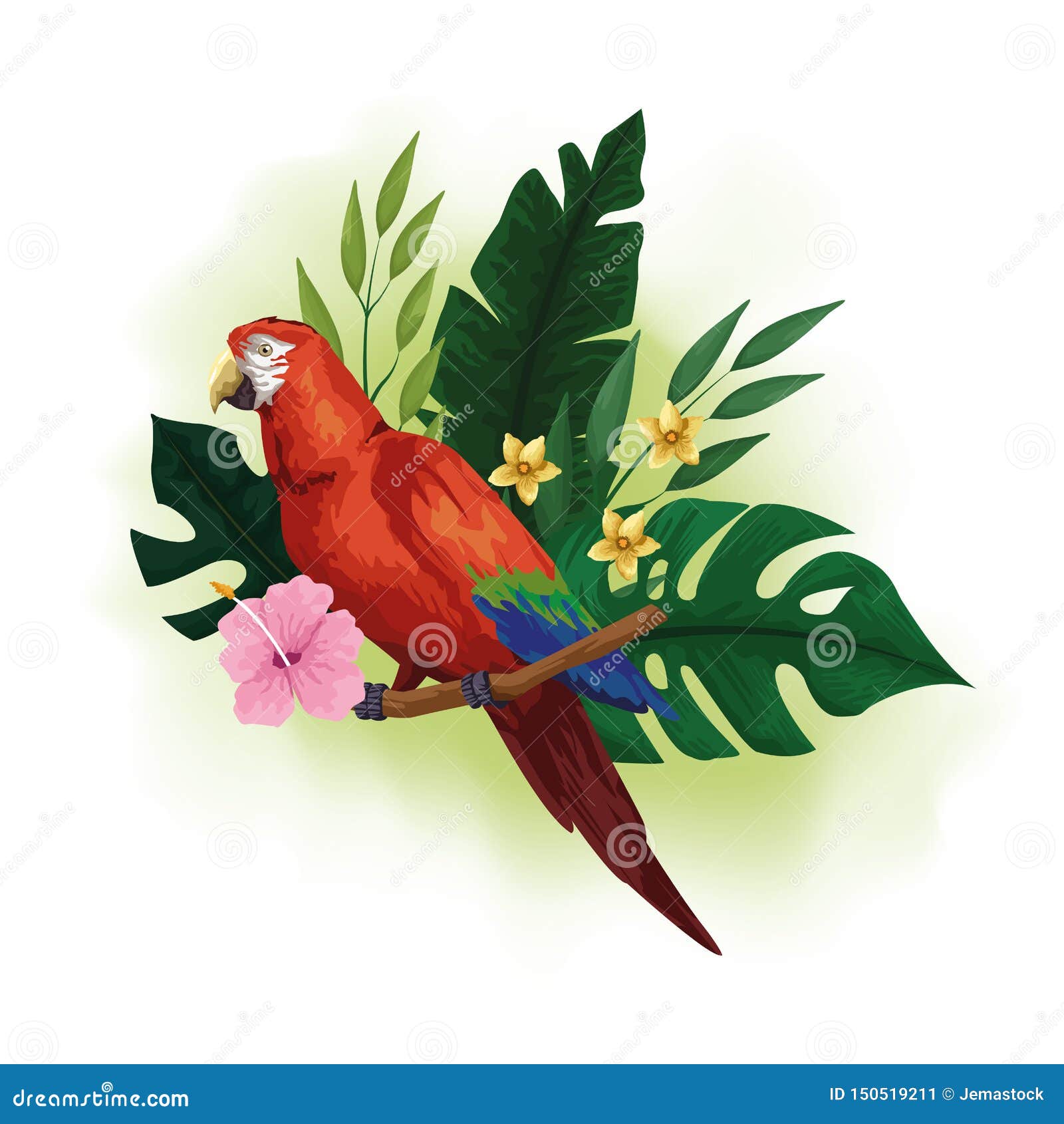 Pájaro Exótico Y Dibujo Tropical De Las Flores Ilustración del Vector -  Ilustración de cartel, modelo: 150519211
