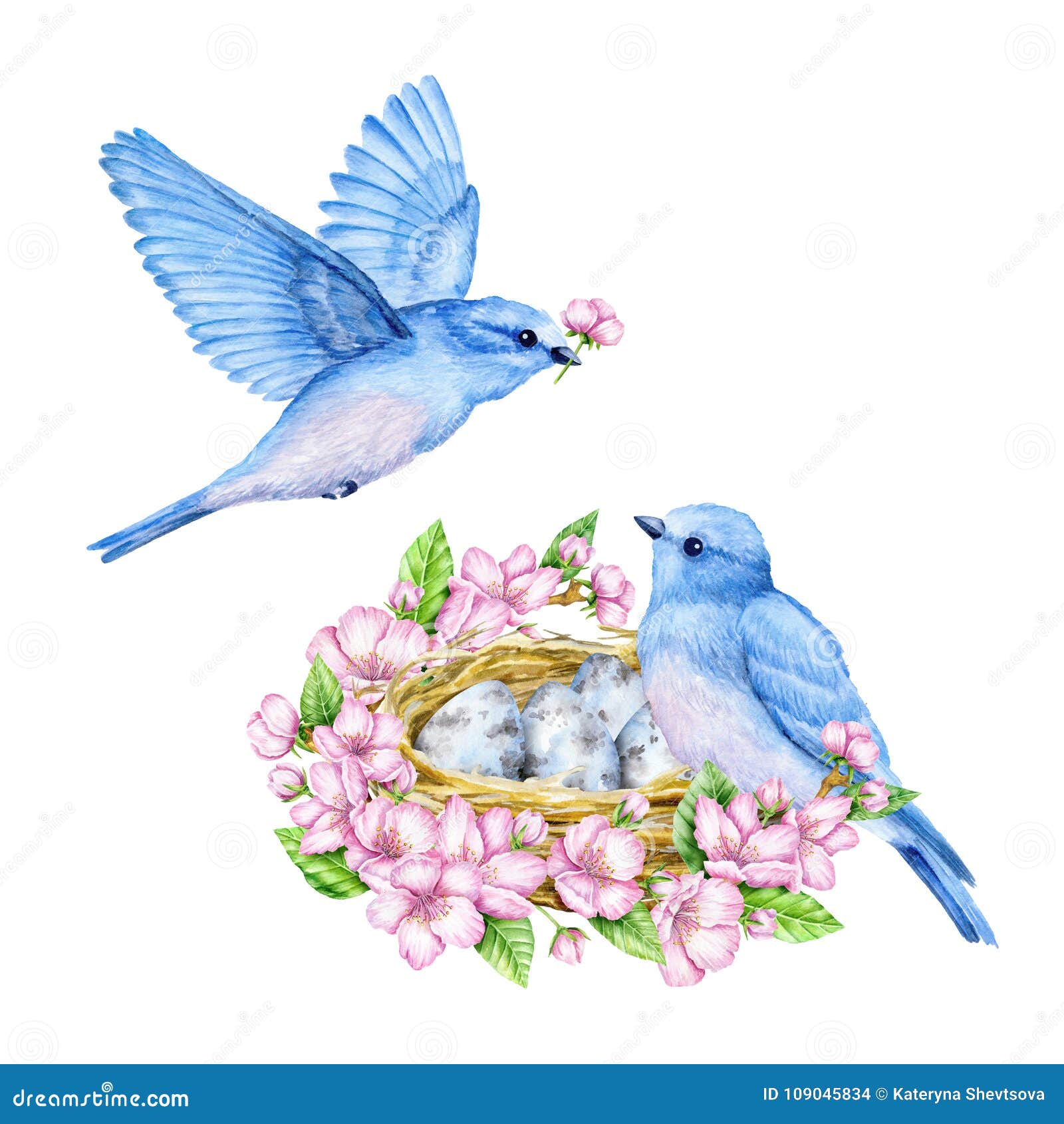 Featured image of post Passaros Azuis - X posid lançou esta imagem pássaros azuis do amor sob licença de domínio público.