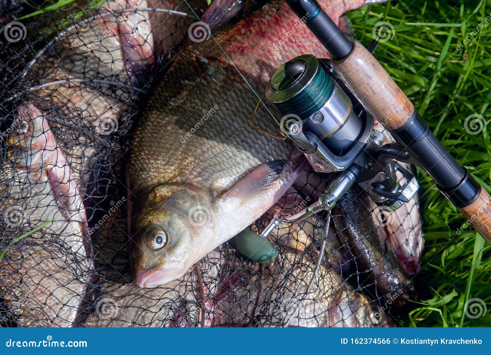 Grand Poisson D'eau Douce à La Daurade 