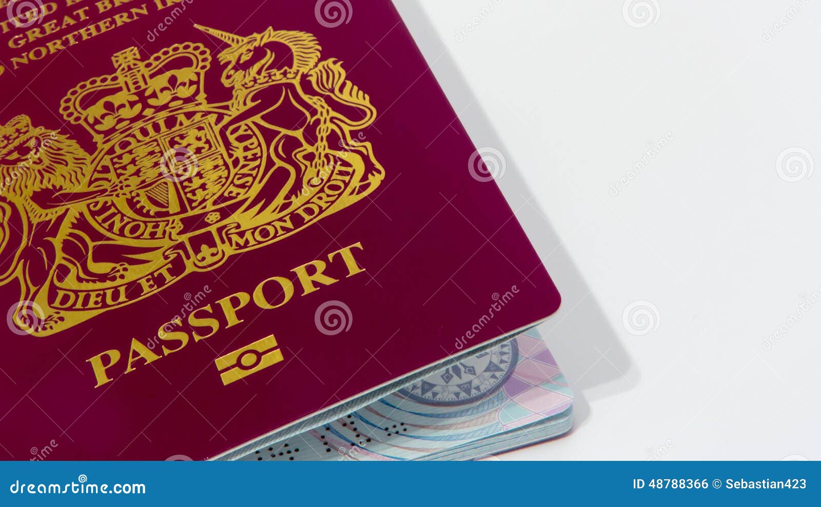 Lose passport. Паспорт и карта ребенка.