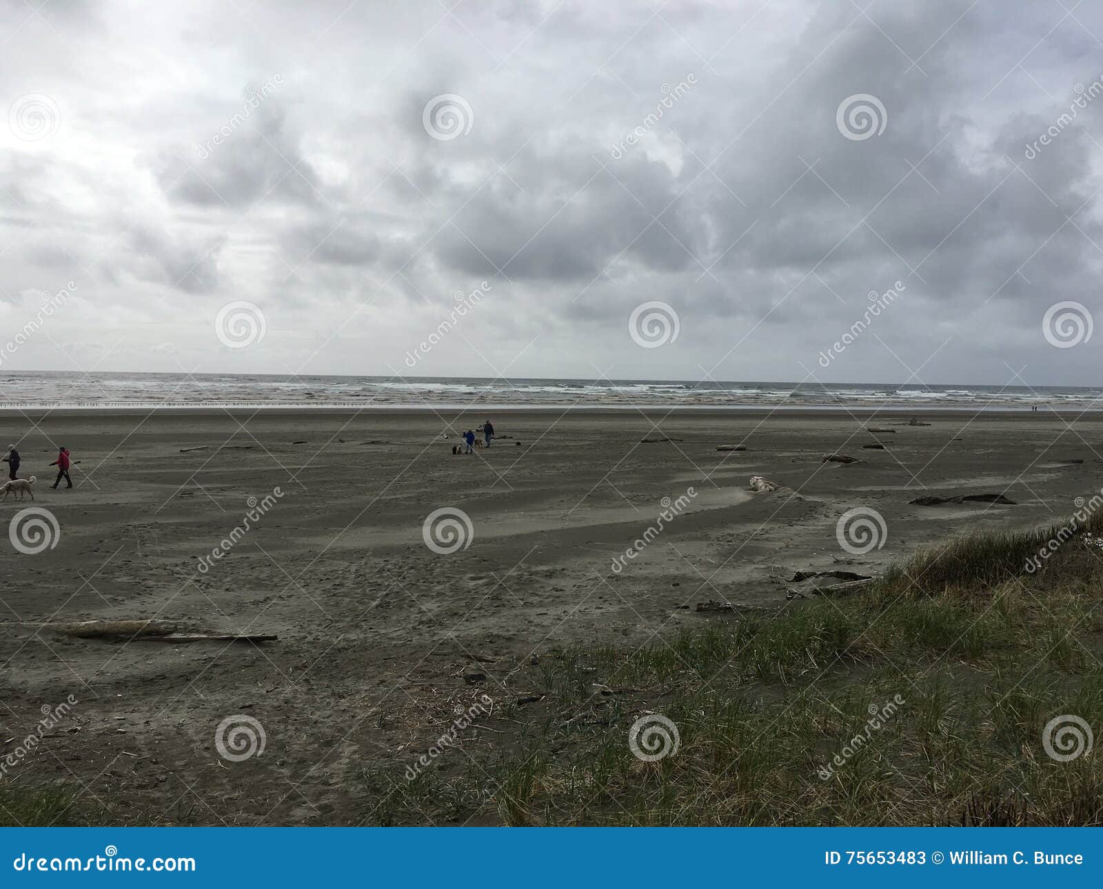 Pacific beach stock image. Image of pacific, beach, state 75653483