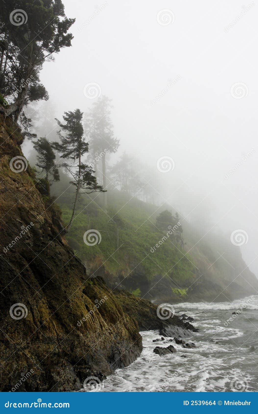pacific coast rocky rugged shoreline in misty fog
