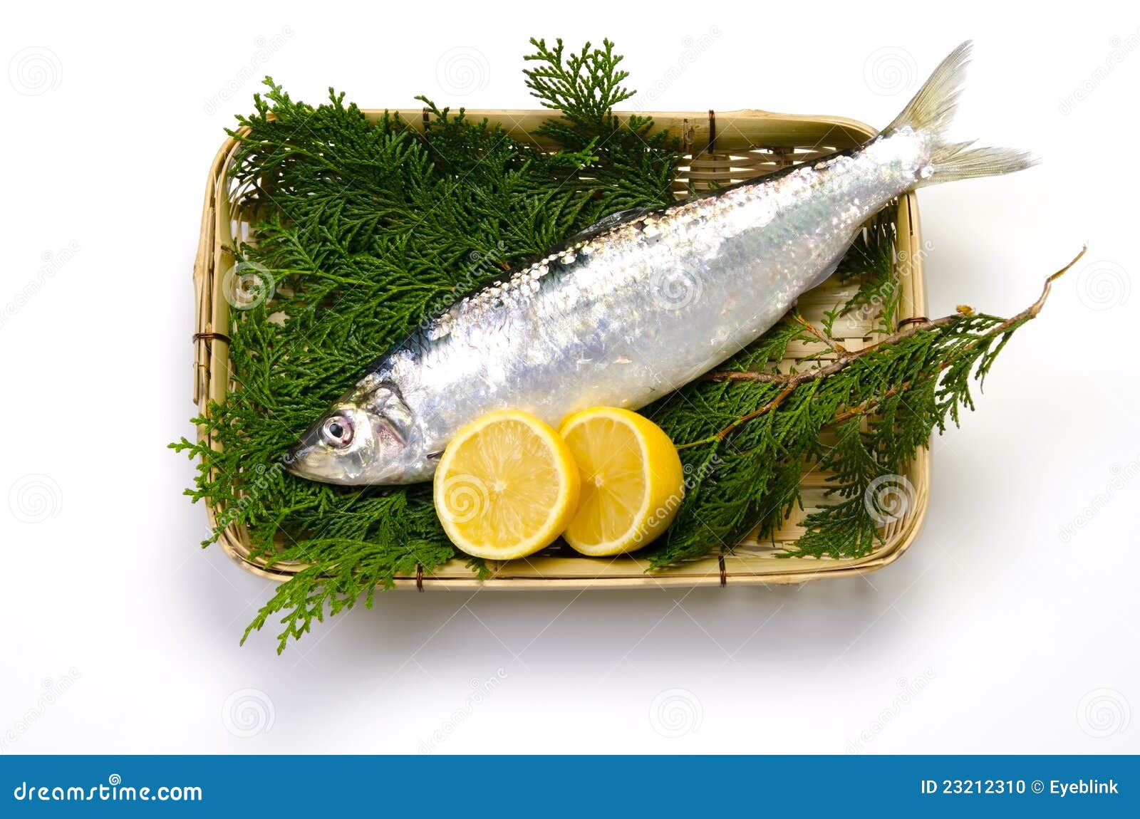 Pacific herring stock photo. Image of aquatic, food, squama 23212310