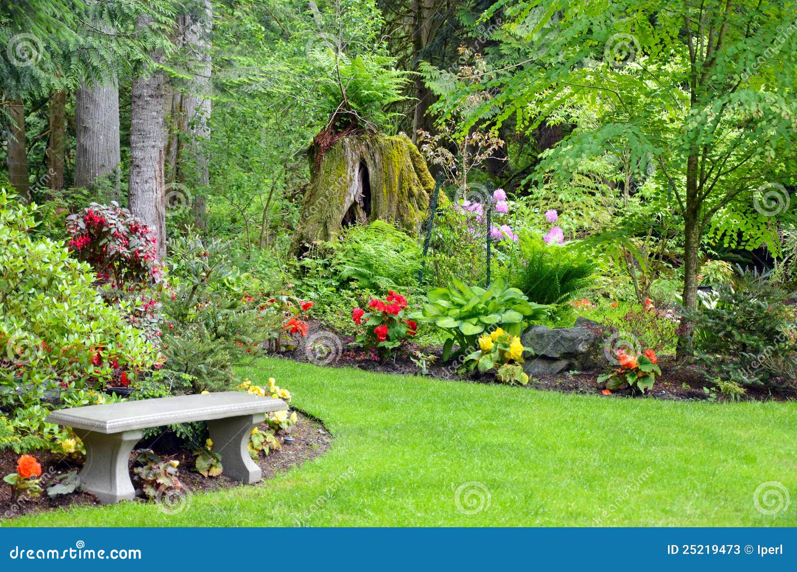 Pacific northwest garden stock image. Image of green - 25219473