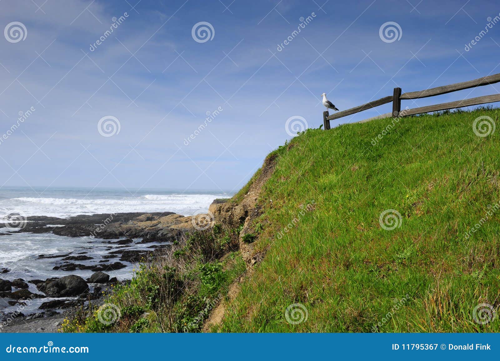Pacific Ocean in Oregon stock image. Image of surf, rocks 11795367