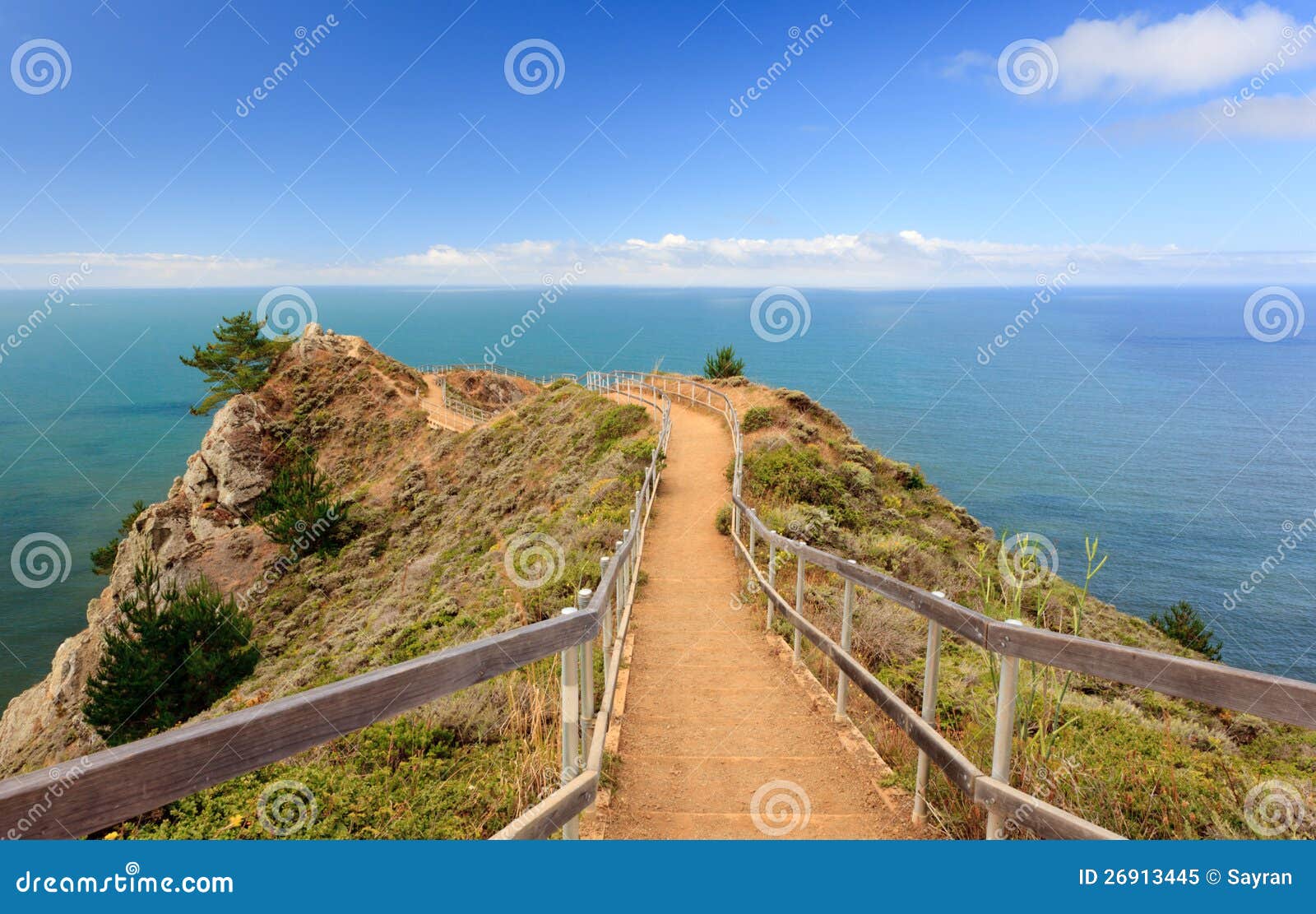 Pacific ocean park stock image. Image of coast, pacific - 26913445