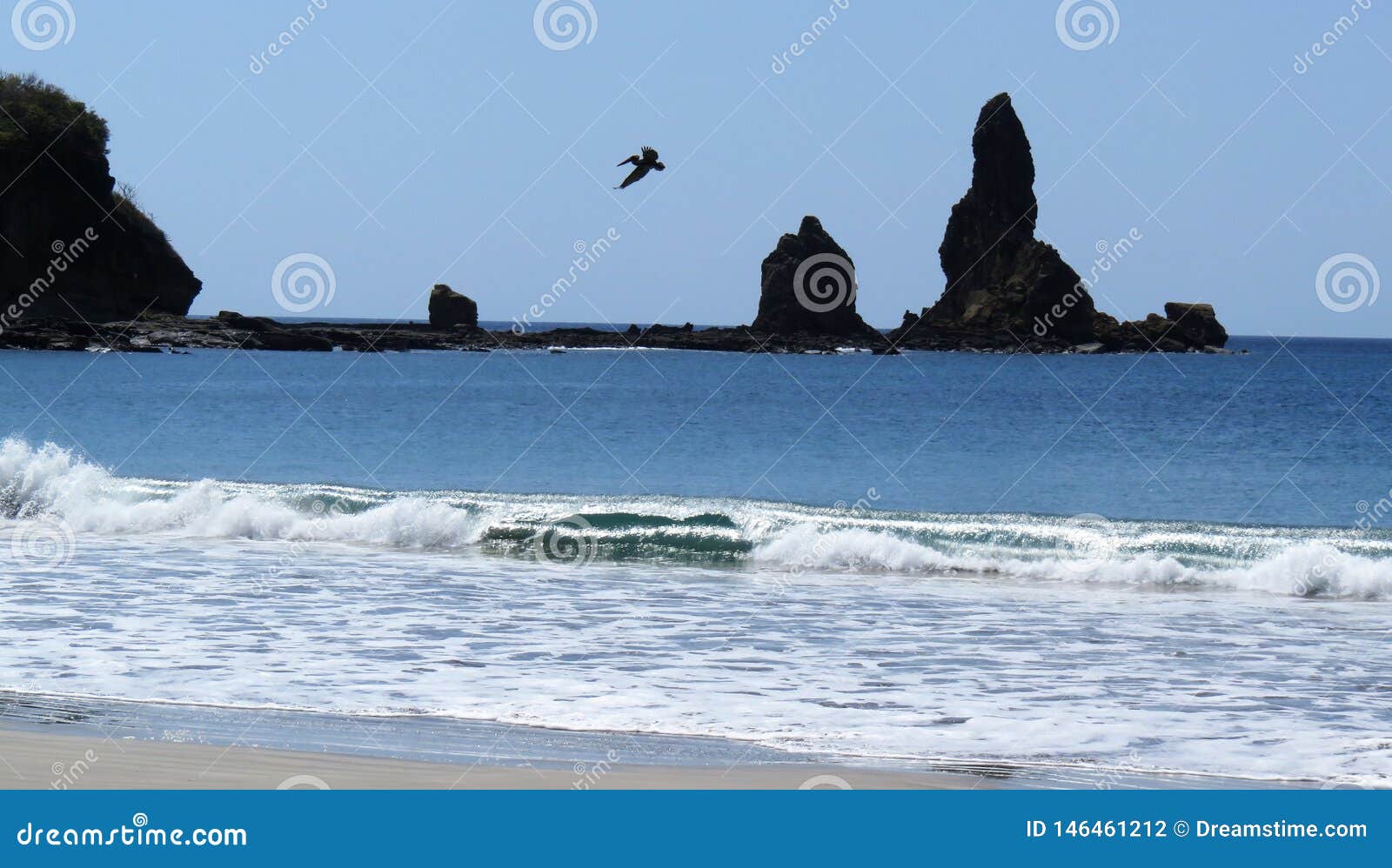 pacific ocean with rocks an pelicano