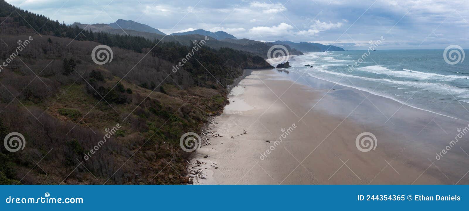 aerial view of scenic oregon beach
