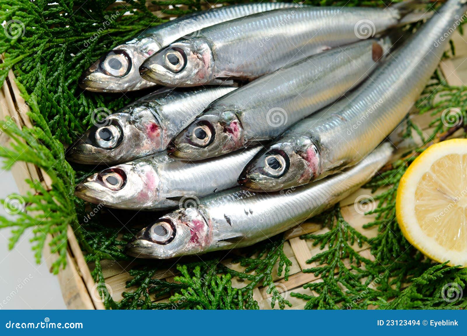 Pacific round herring stock photo. Image of meal, lemon 23123494