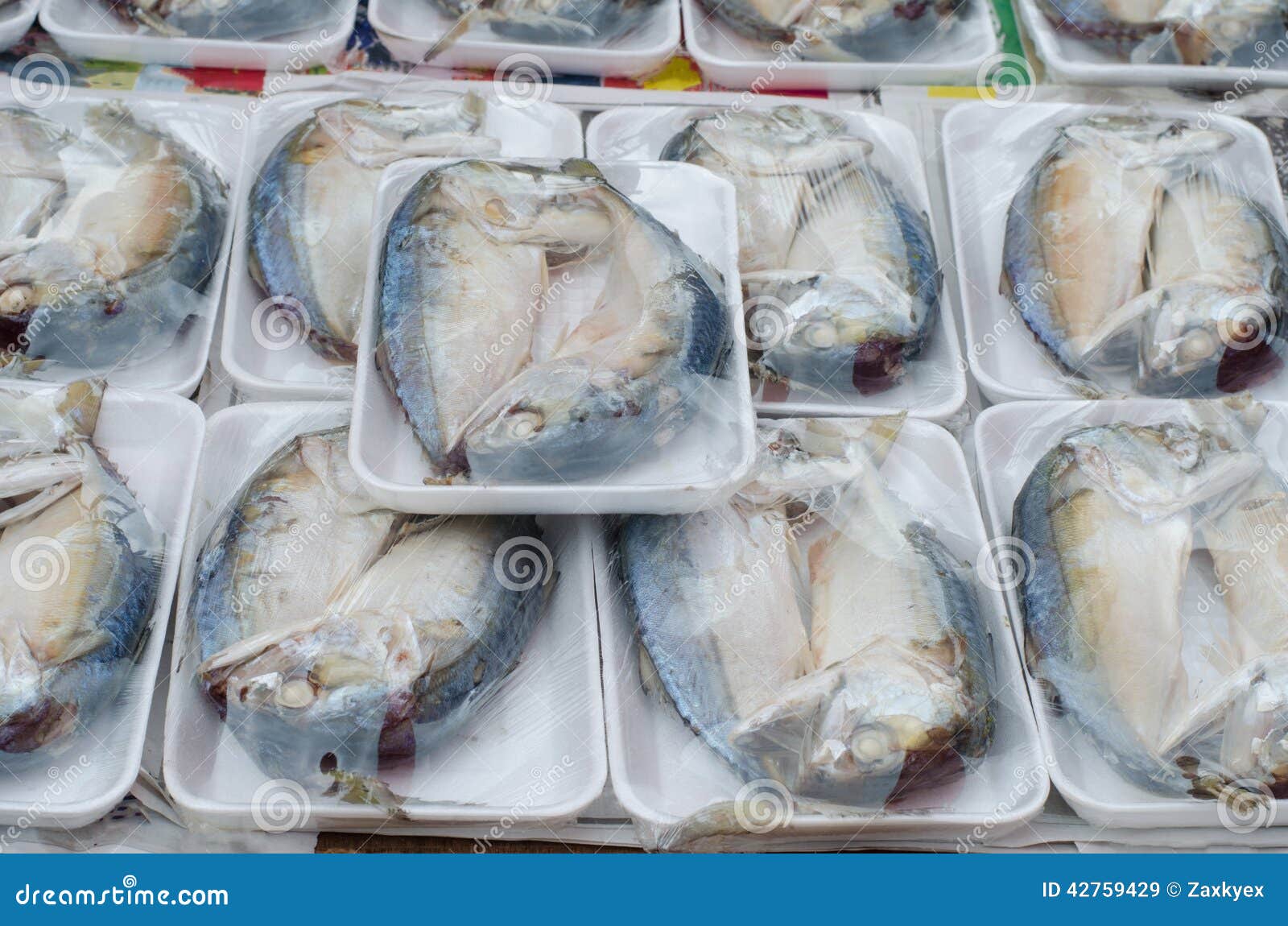 Pack of Fresh Mackerel Fish Stock Image Image of seafood, tail 42759429