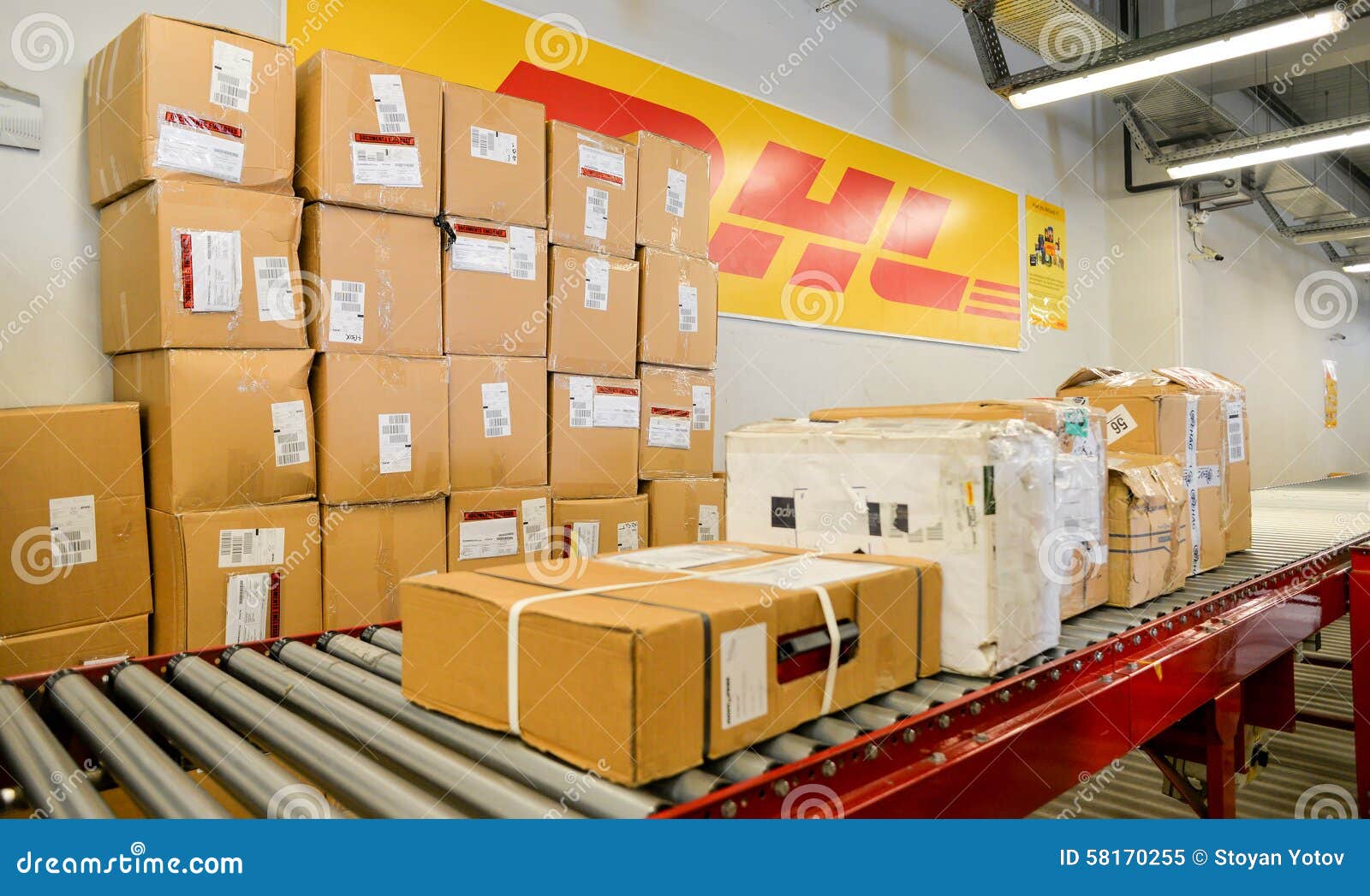 Грейпфруты упаковывают в ящики. DHL упаковка коробки. Посылка DHL упаковка. Короба DHL. DHL коробка доставка.