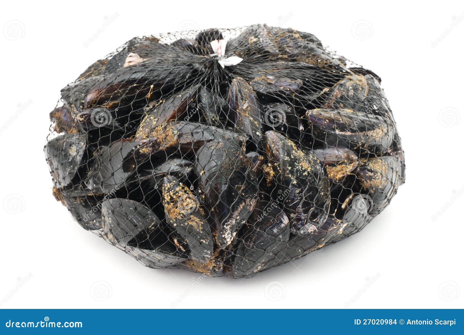 Packaged mussels stock photo. Image of life, seafood 27020984
