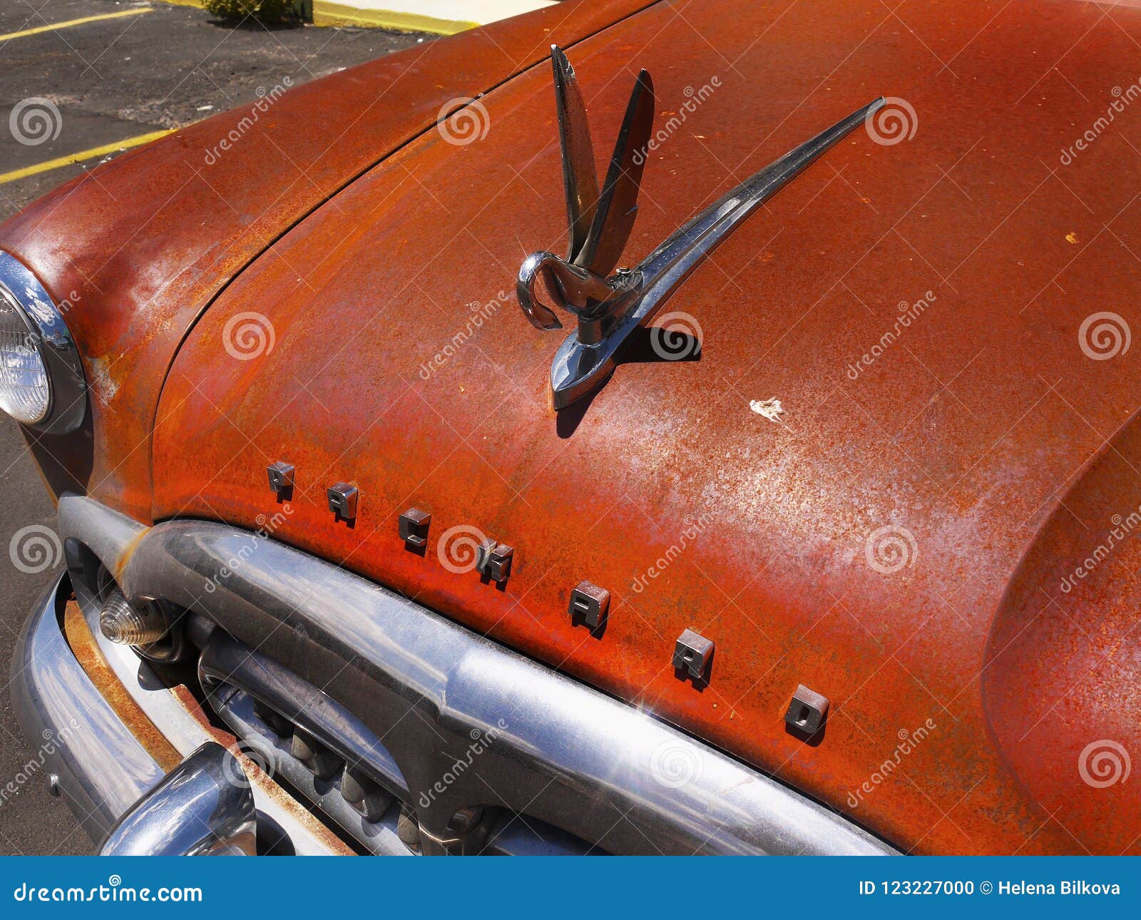 Packard Car, Swan Hood Ornament Editorial Image - Image of emblem, ornament:  123227000