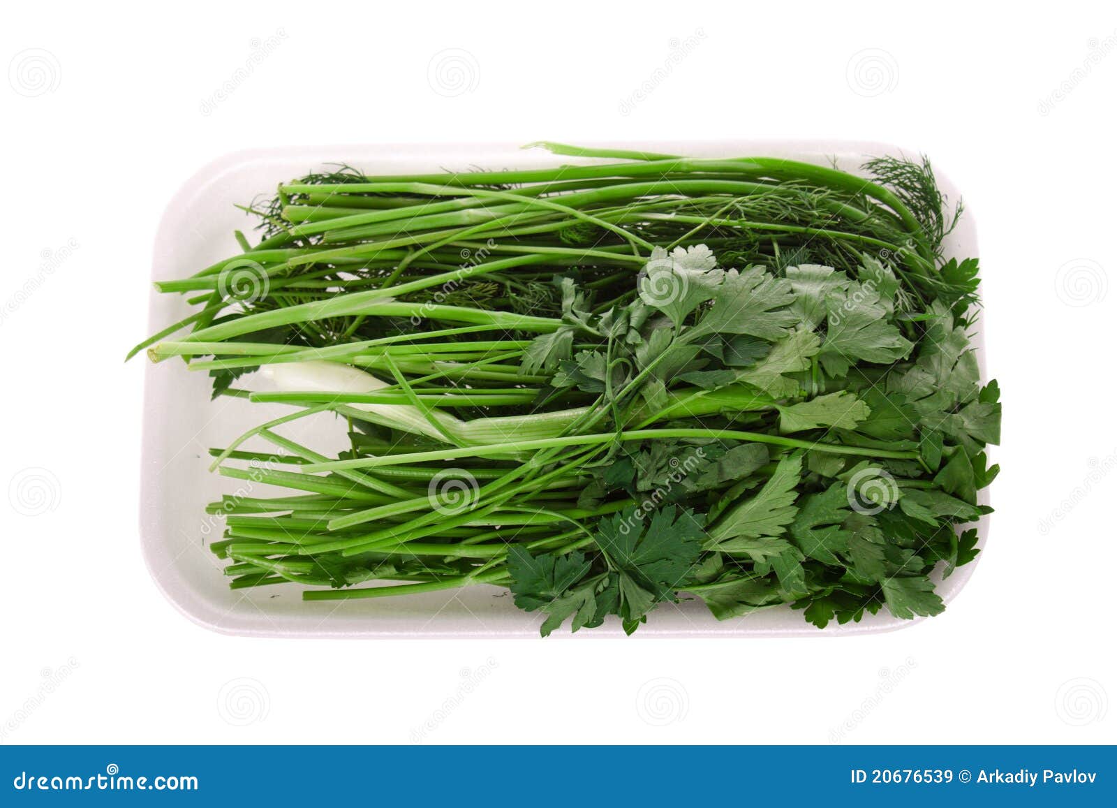 Packed parsley dill stock image. Image of package, plant 20676539