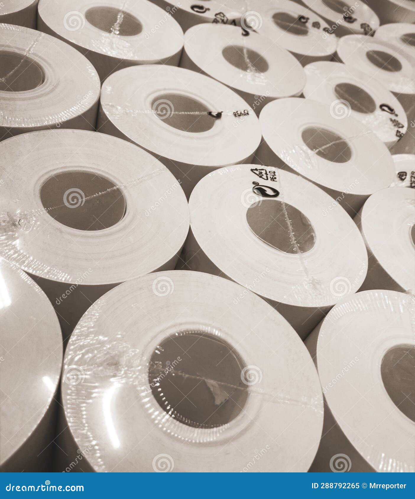 Packed Rolls of Industrial Paper Stock Image Image of white