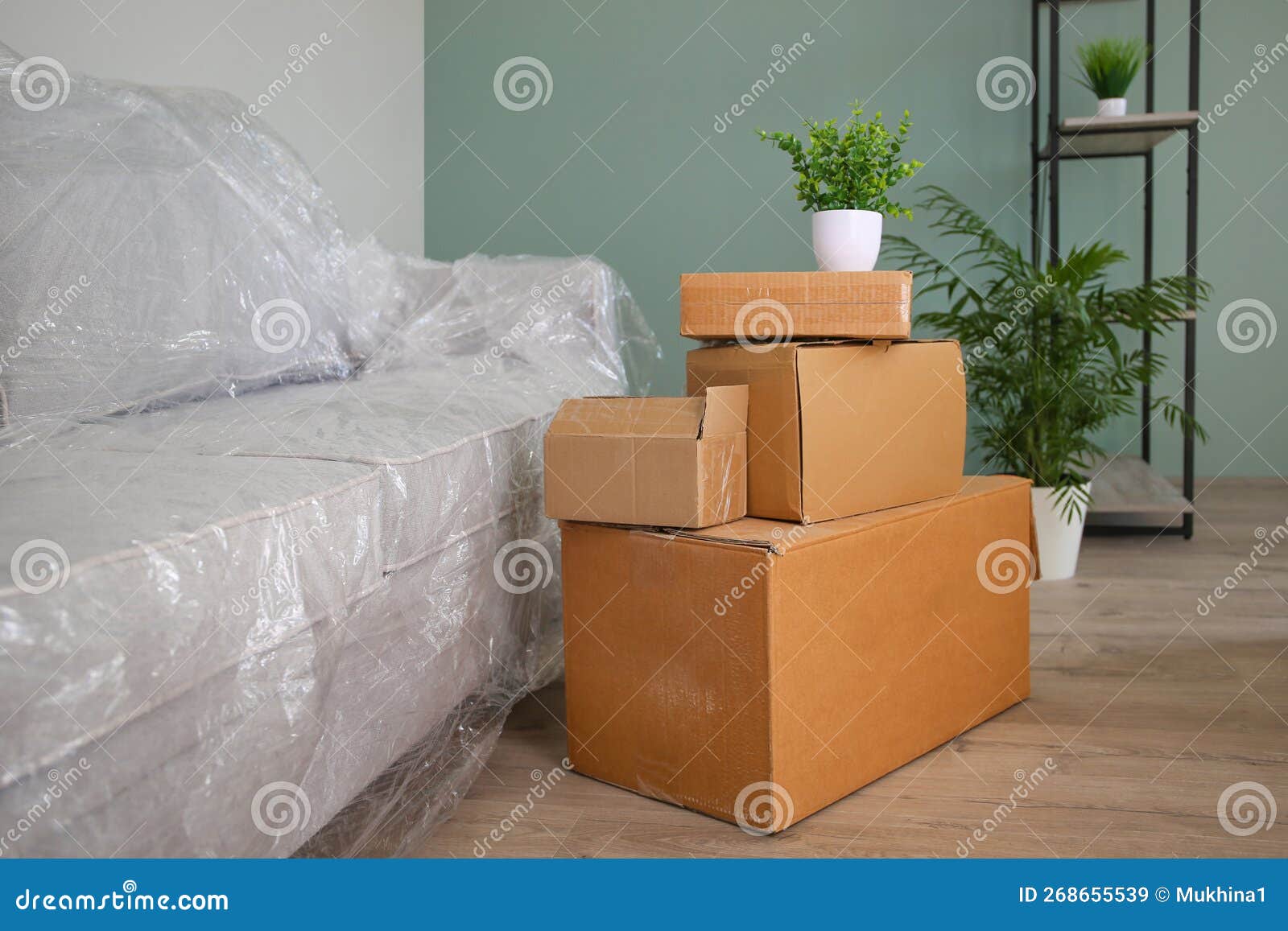 Packed Sofa and Cardboard Boxes in the Living Room. the Concept of