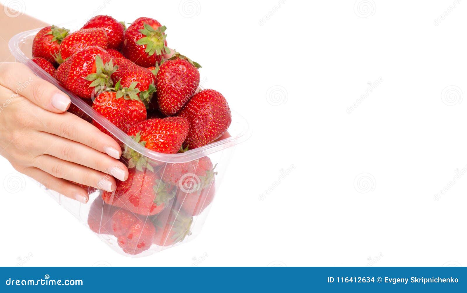 Packing Strawberries in a Hand Stock Photo Image of juicy, package