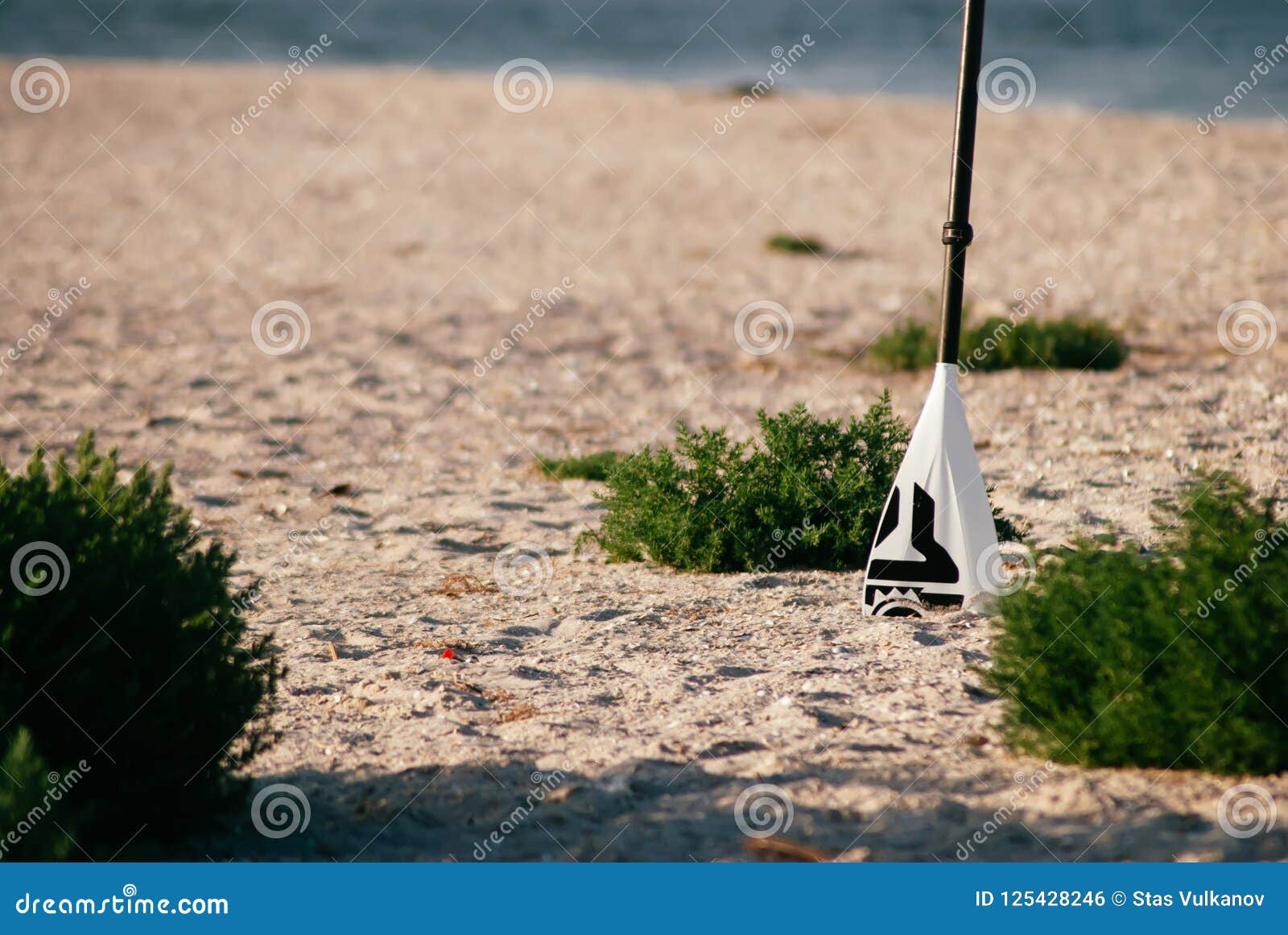 paddle on the beach close-up, concept of rowing standing,