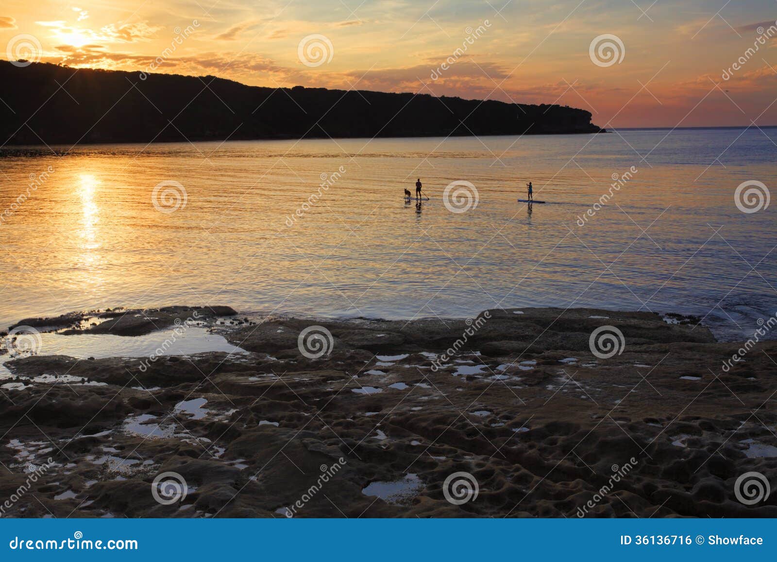 paddle boarding on botany bay at sunrise