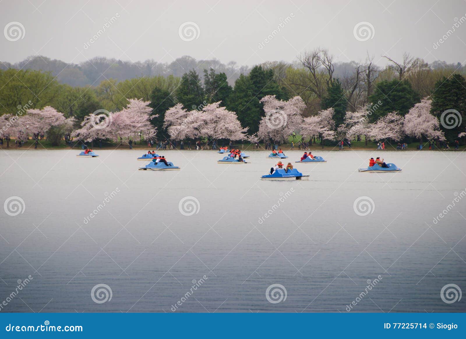 tidal basin paddle boats hours tidal basin paddle boats hours