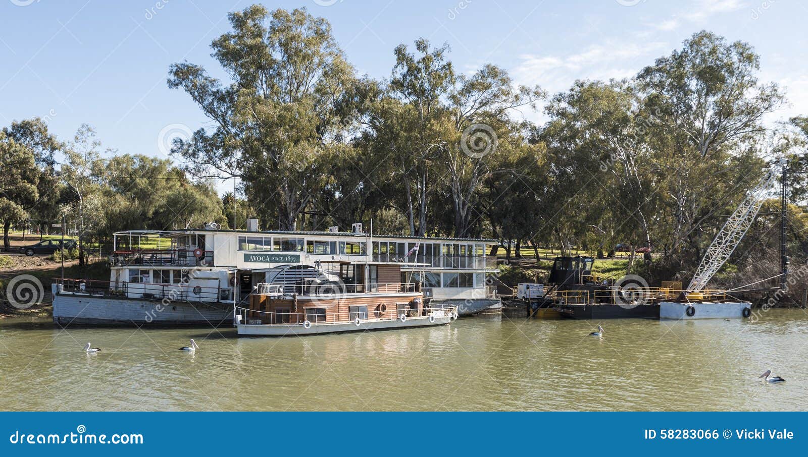 Paddleboat Avoca, Murray River, Mildura, Australia Fotografia