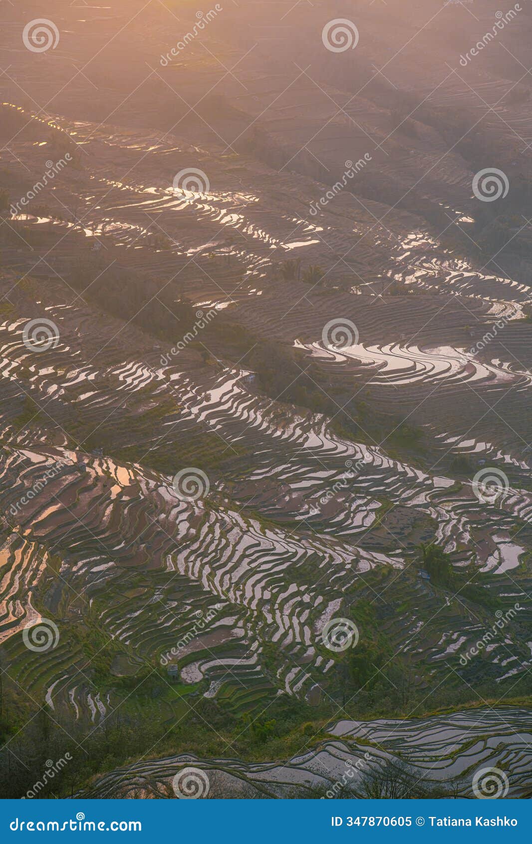 paddy fields, rice terraces. in yunnan province china. bada rice terraces