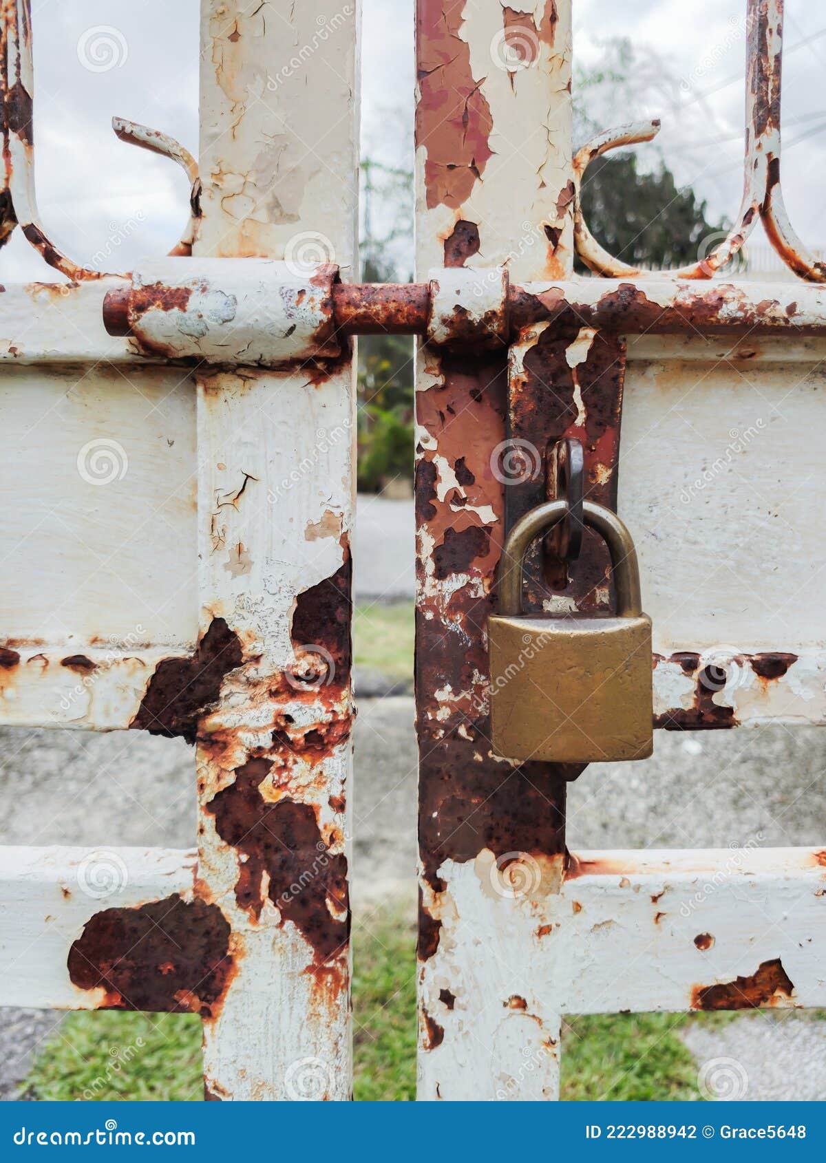 Padlock on the Rustic Metal Gate Stock Photo Image of privacy