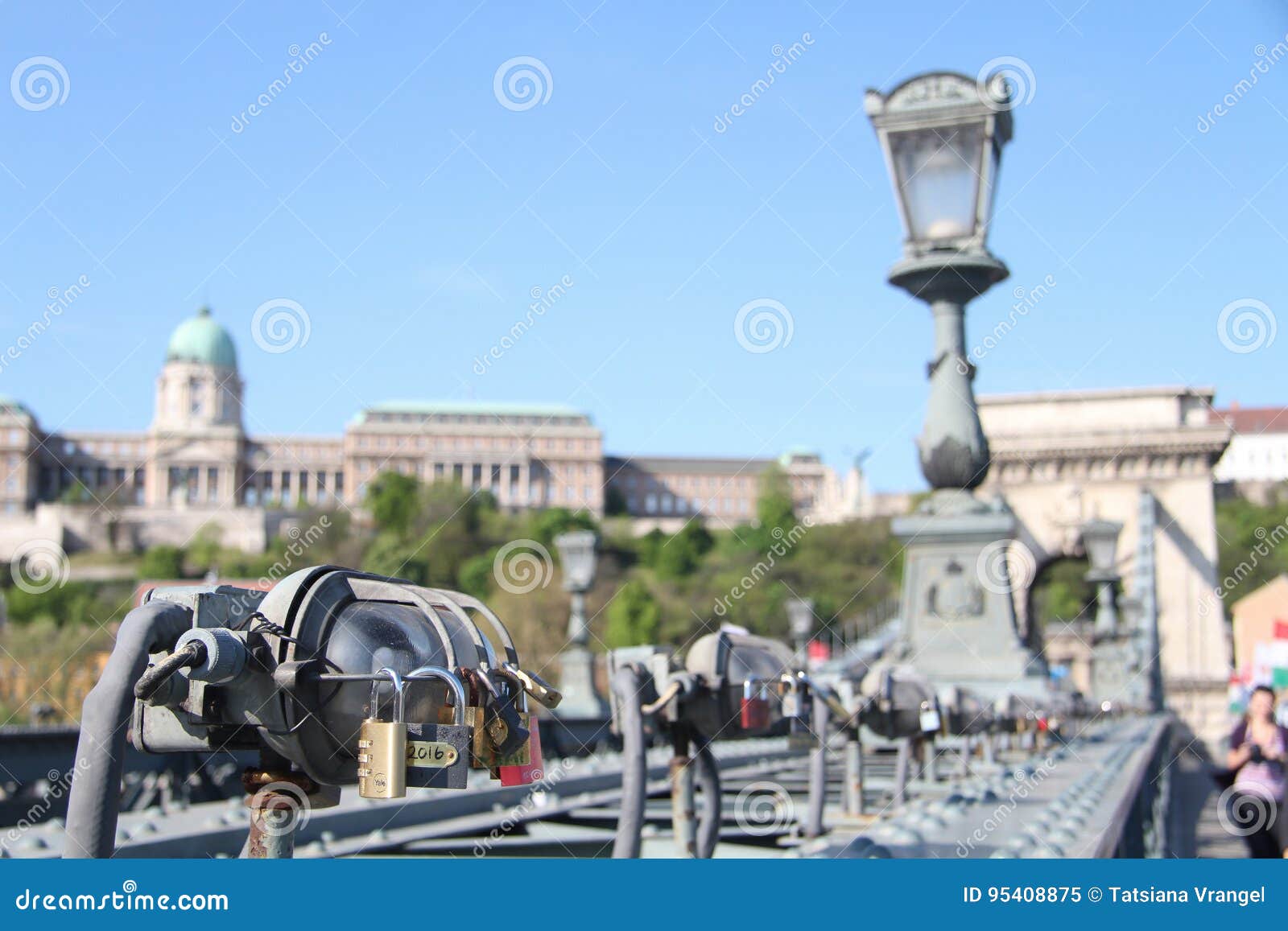 Padlocks on the Chain Bridge of Budapest Stock Image Image of wedding