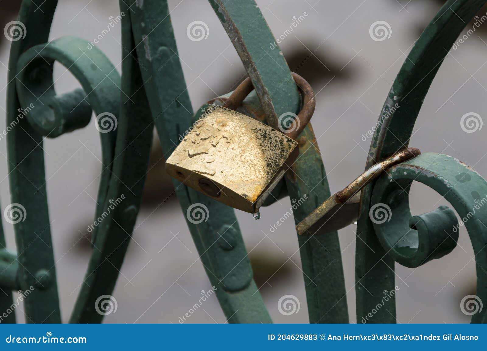 Padlocks in the city stock image. Image of wood, padlocks 204629883