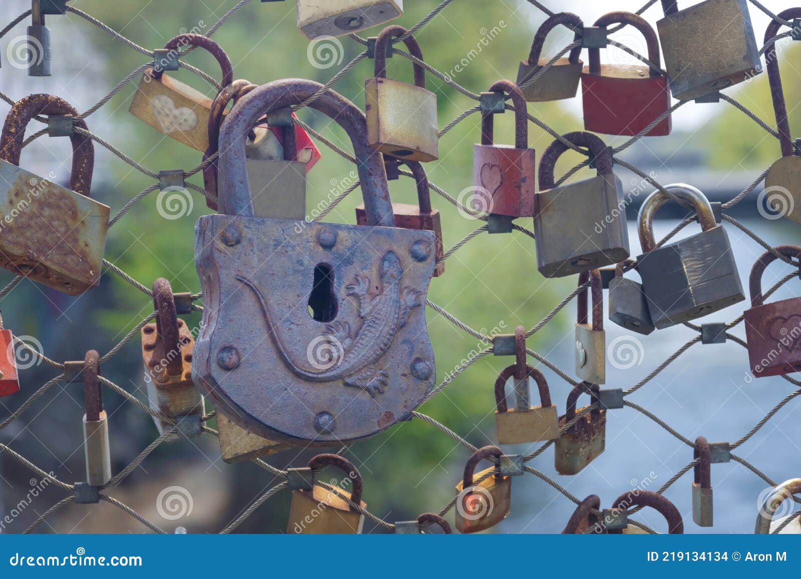 Padlocks Love Locks on a Bridge Railing Stock Photo Image of lock