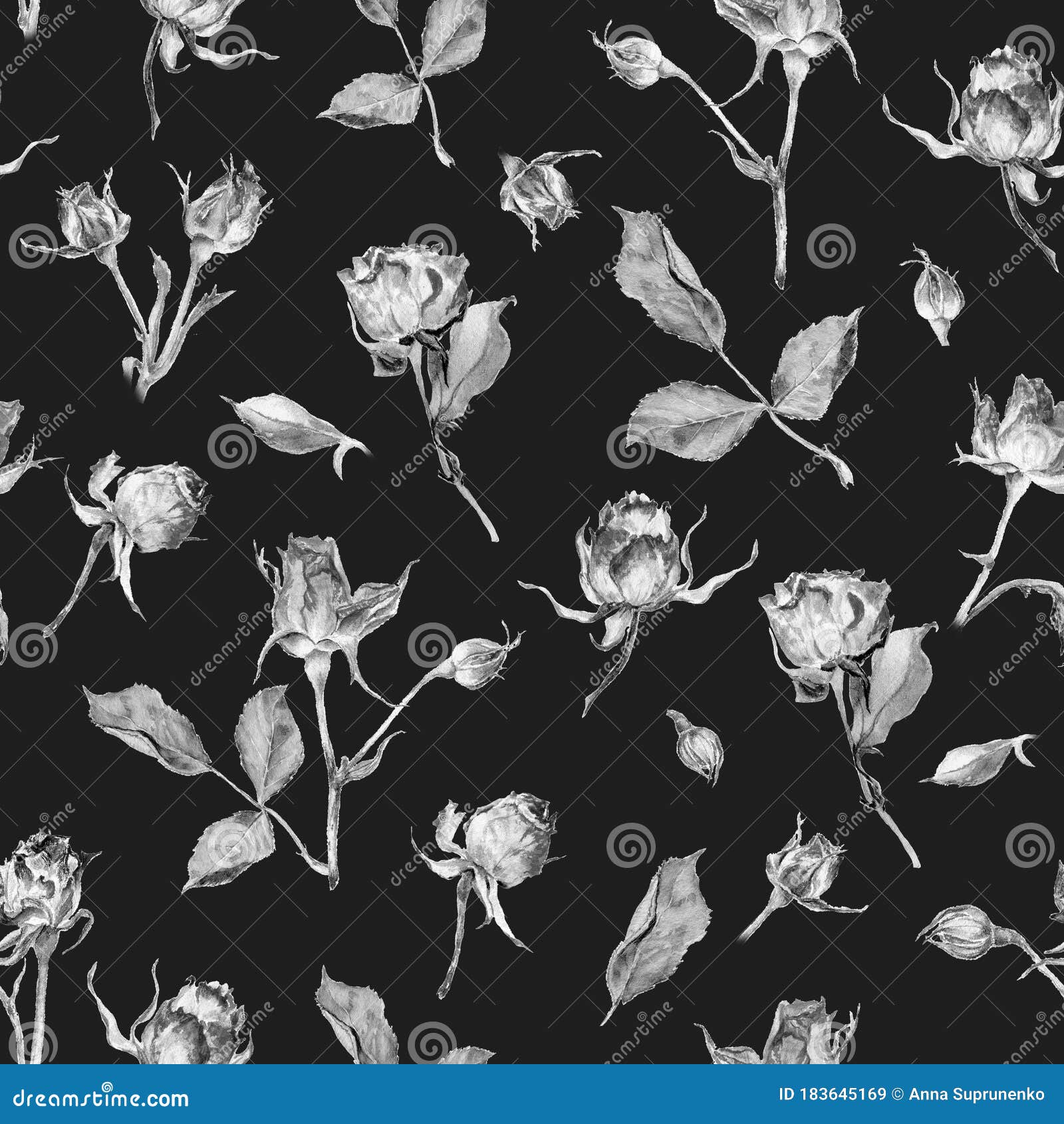 Vetores de Flores Do Cacto Nos Potenciômetros Linhas Preto E Branco  Isoladas No Fundo Branco e mais imagens de Abstrato - iStock