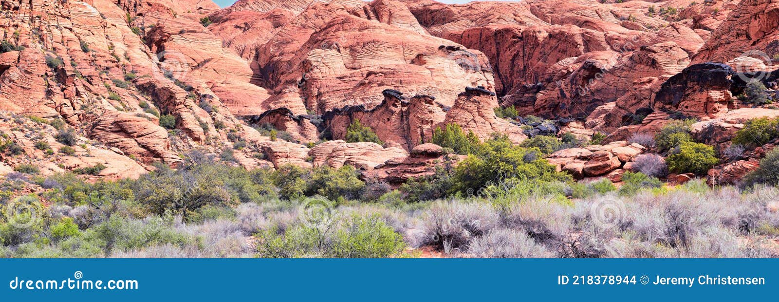 padre canyon, snow canyon state park, saddleback tuacahn desert hiking trail landscape panorama views, cliffs national conservatio