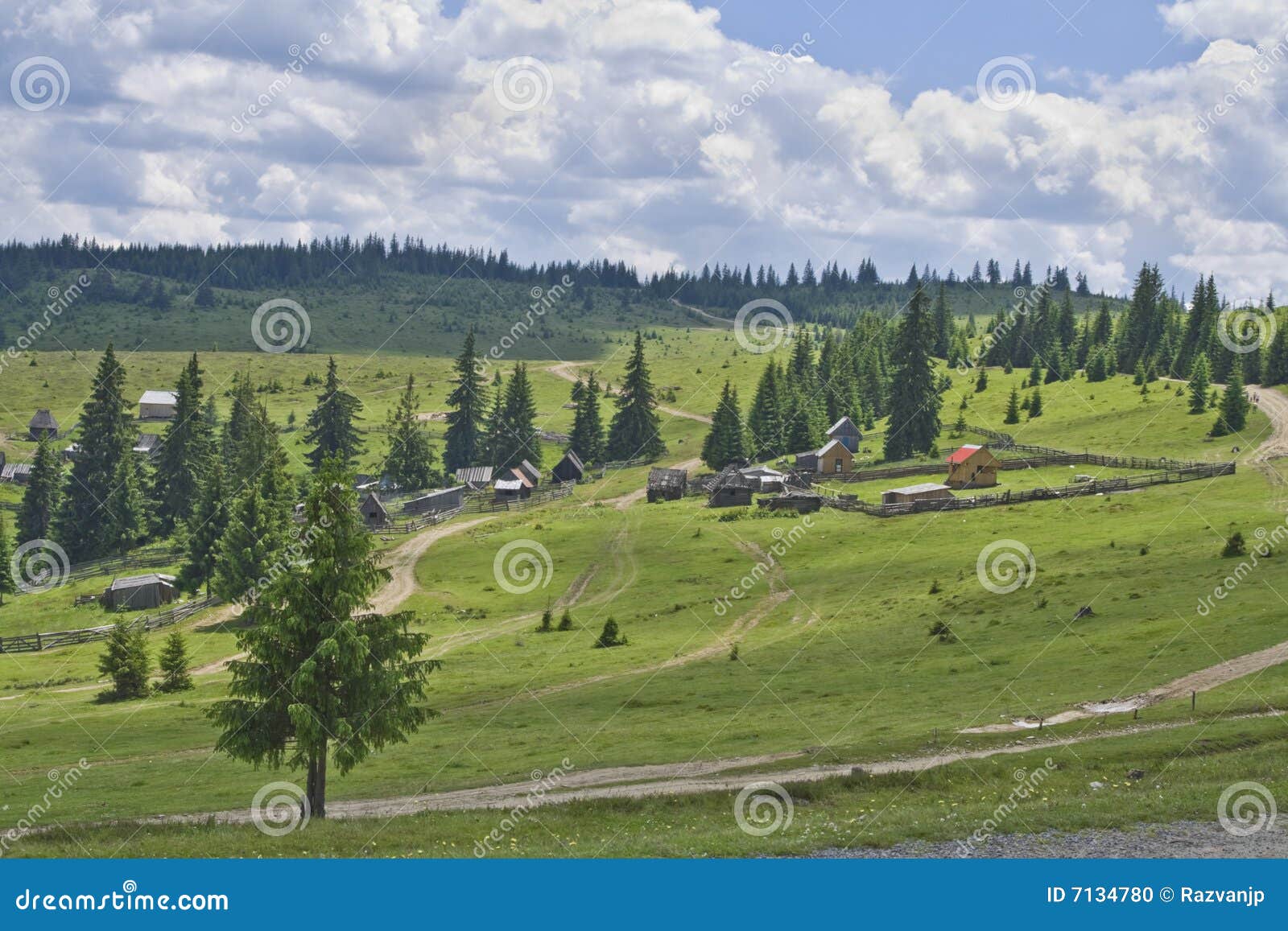 Paesaggio. Modific il terrenoare con gli sheepfolds e le case in qualche luogo in montagne di Apuseni, Romania.