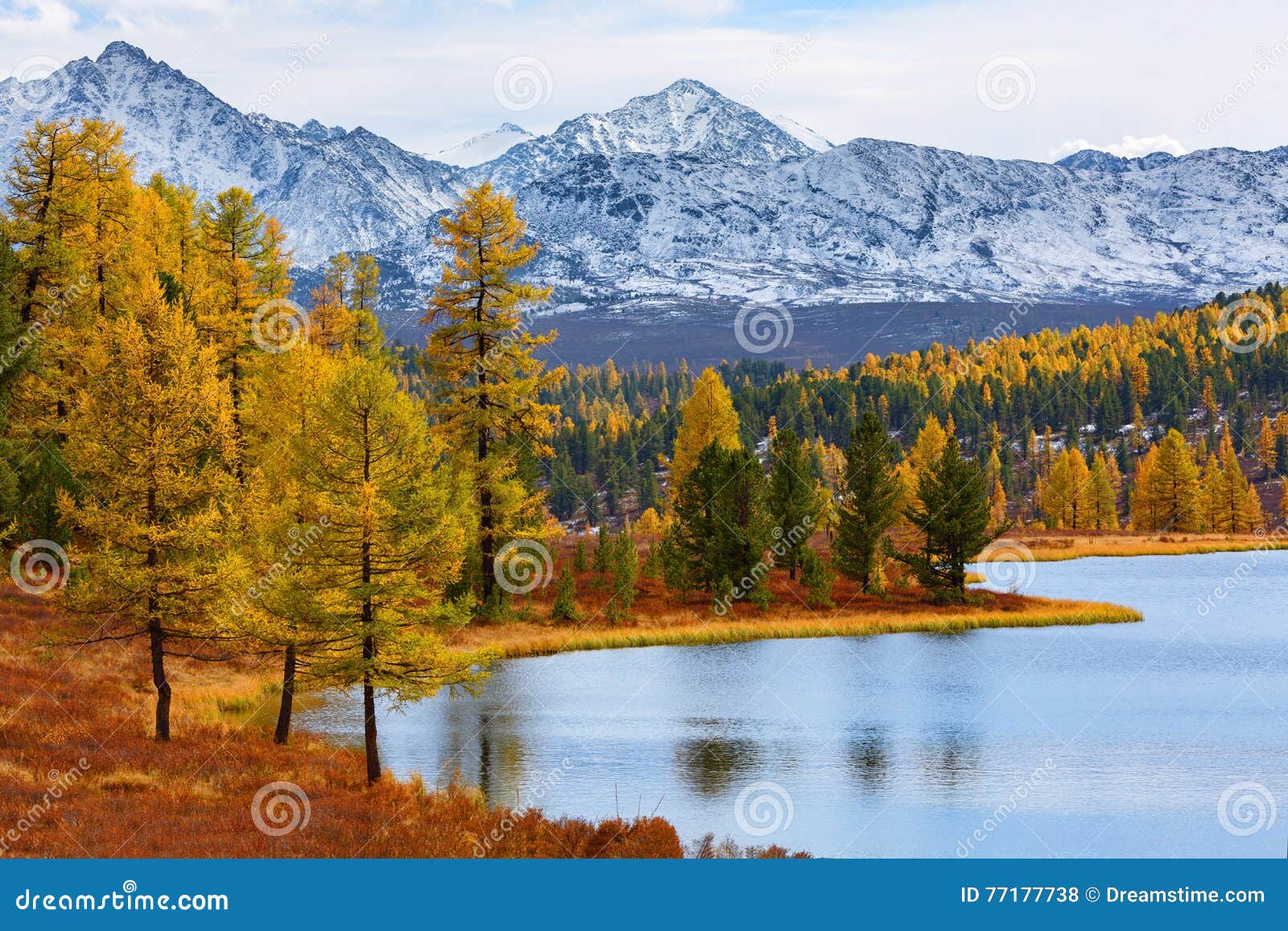 Paesaggio Della Montagna Autunno Fotografia Stock Immagine Di Verde Breathtaking